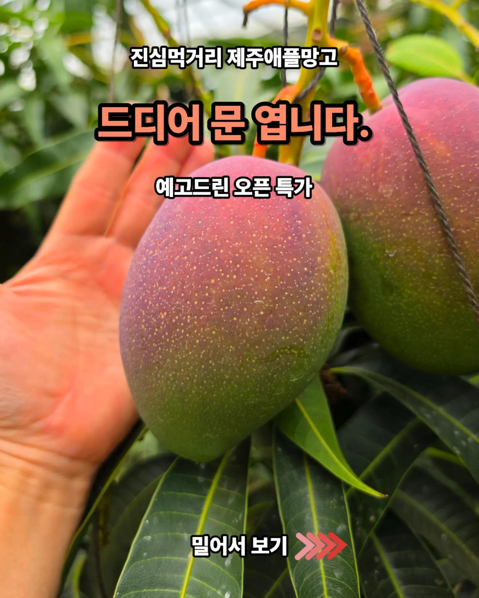 @진심먹거리