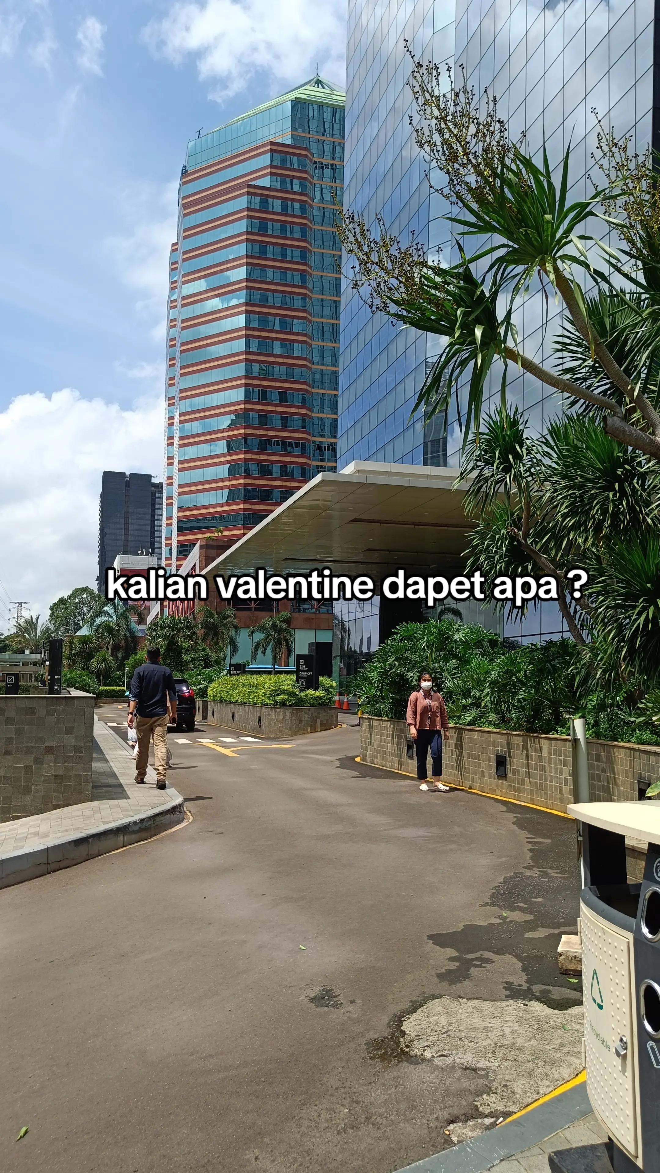 @Anisa