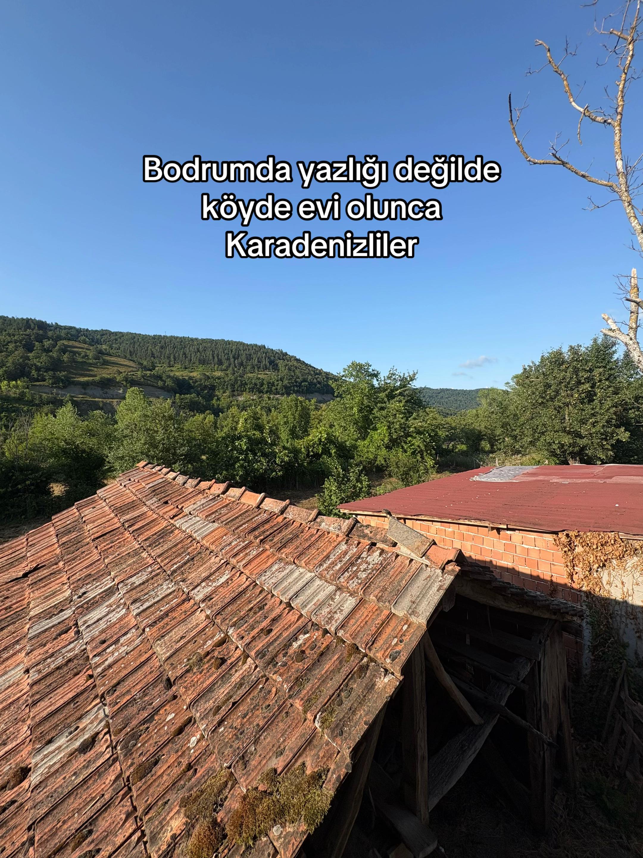 @Melisa Taş
