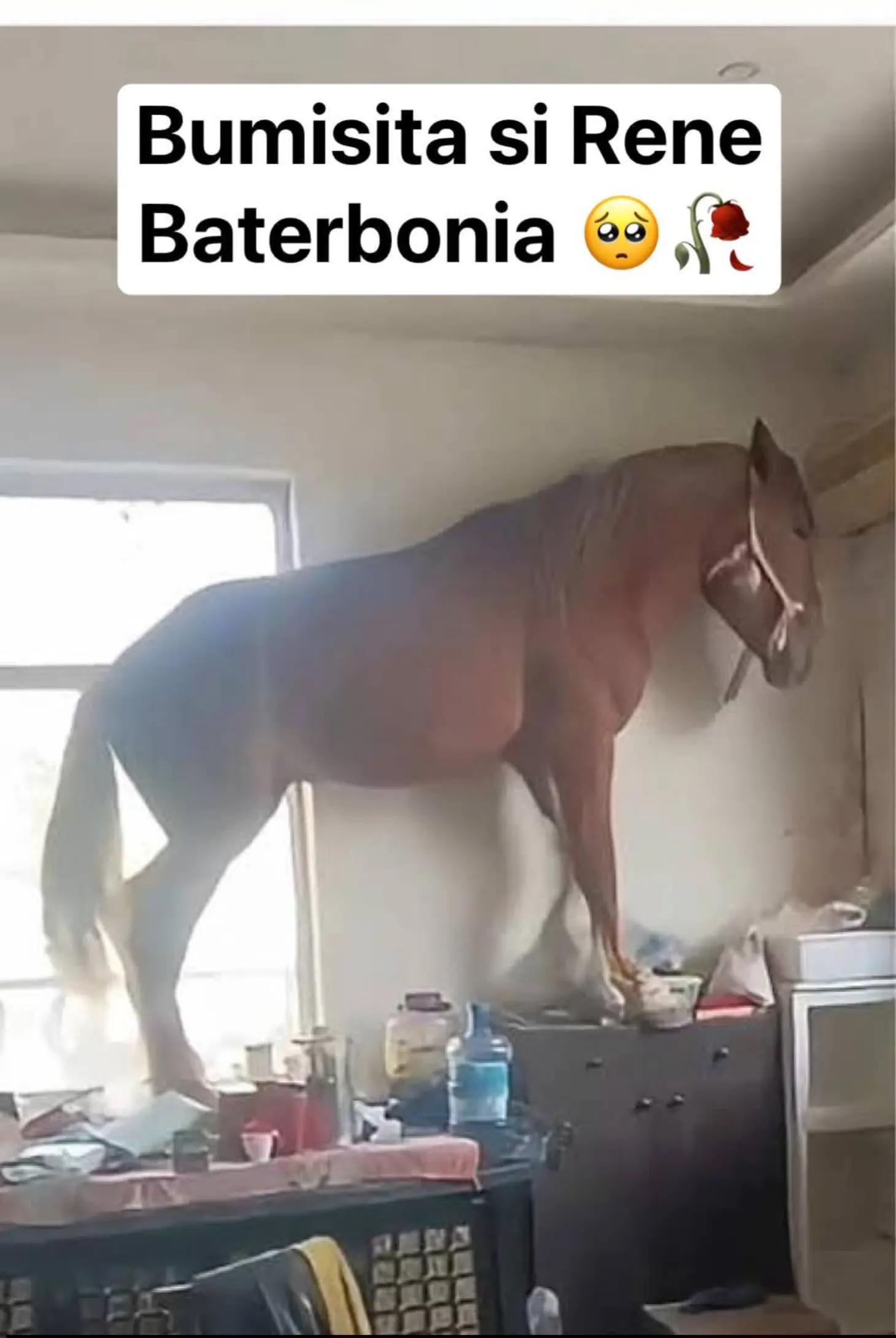 @LOVERBAI