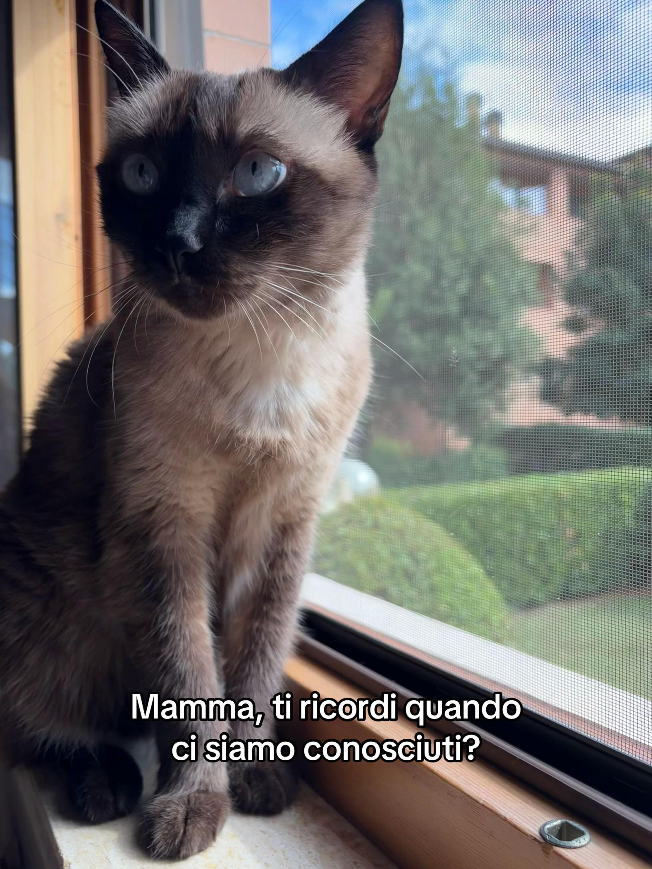 @claudia🫶🏽
