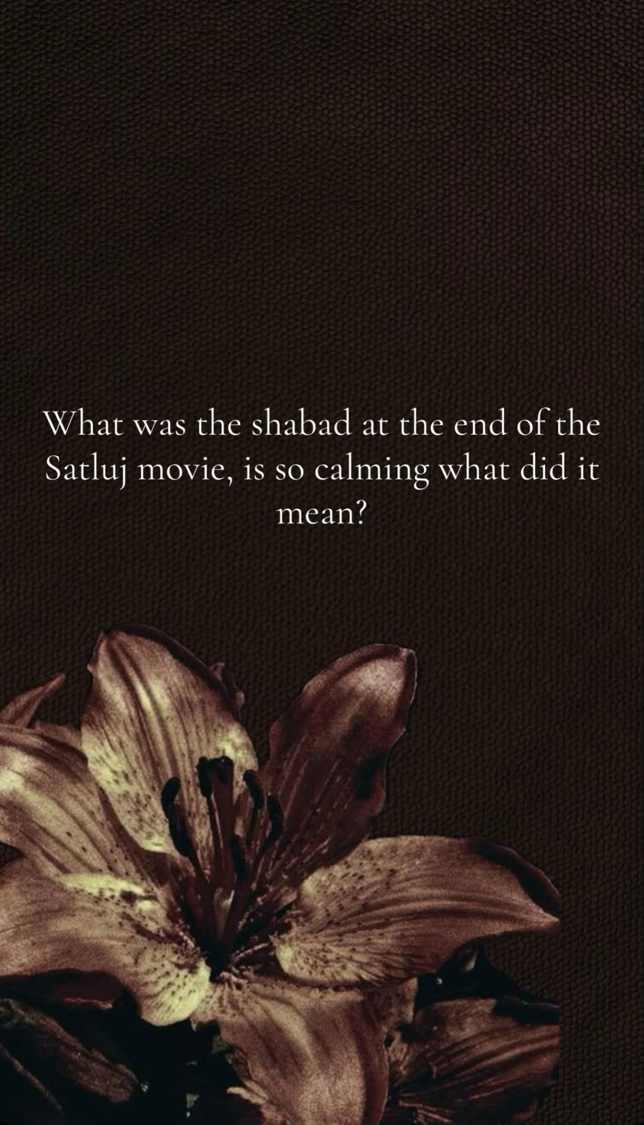 @ਕੌਰ🌺