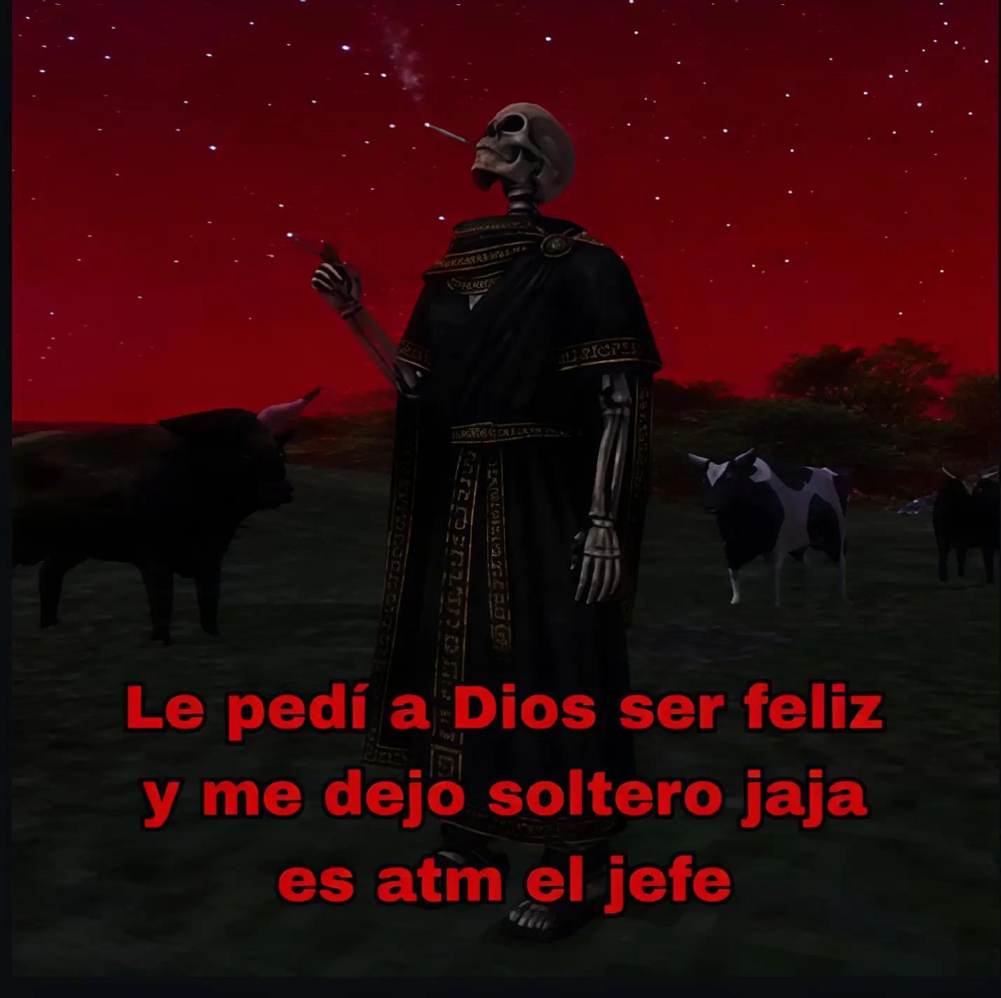 @️🪰
