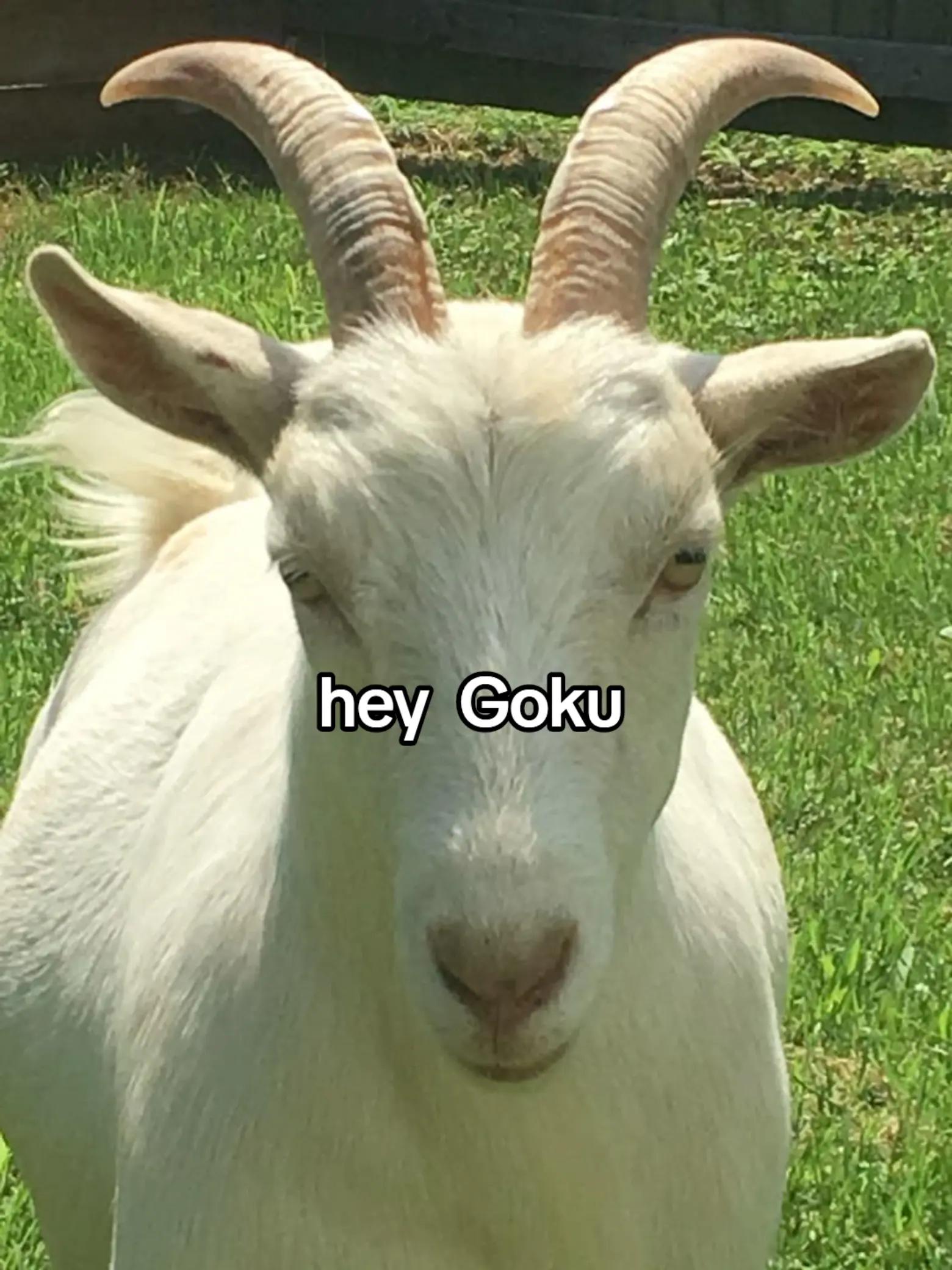 @manga multiverse