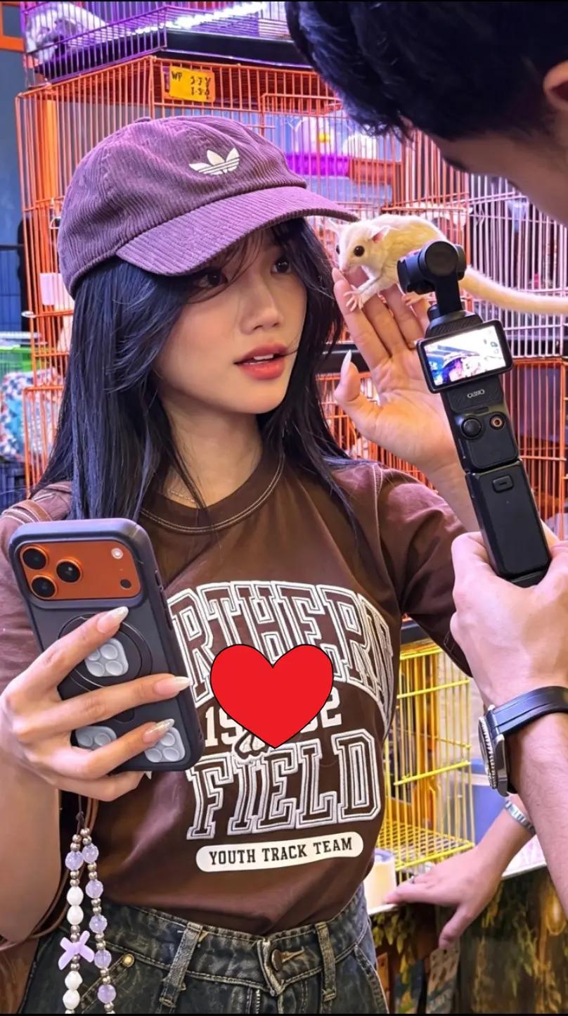 @F_MEDIA