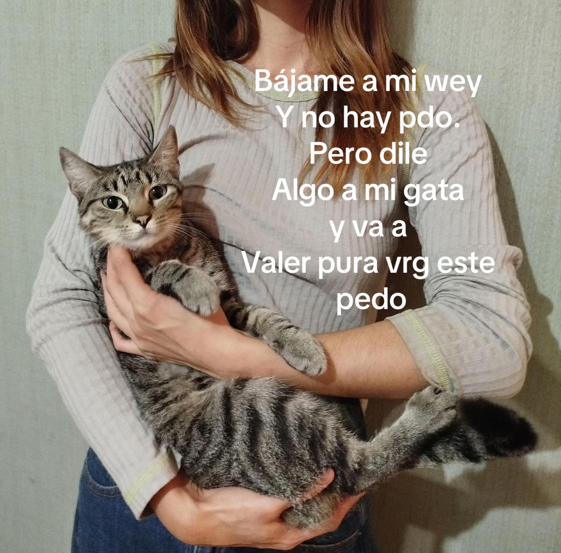 @nicole