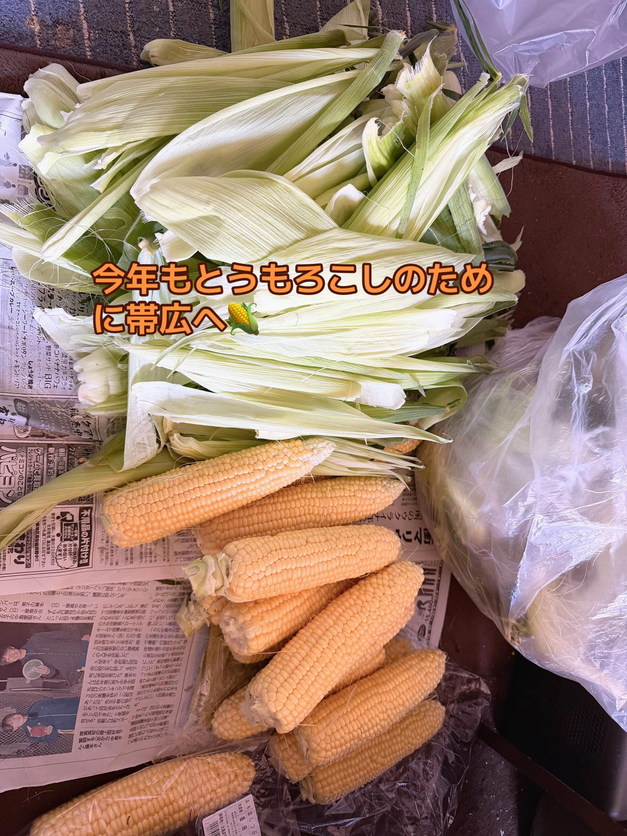 @こむぎーず🍒