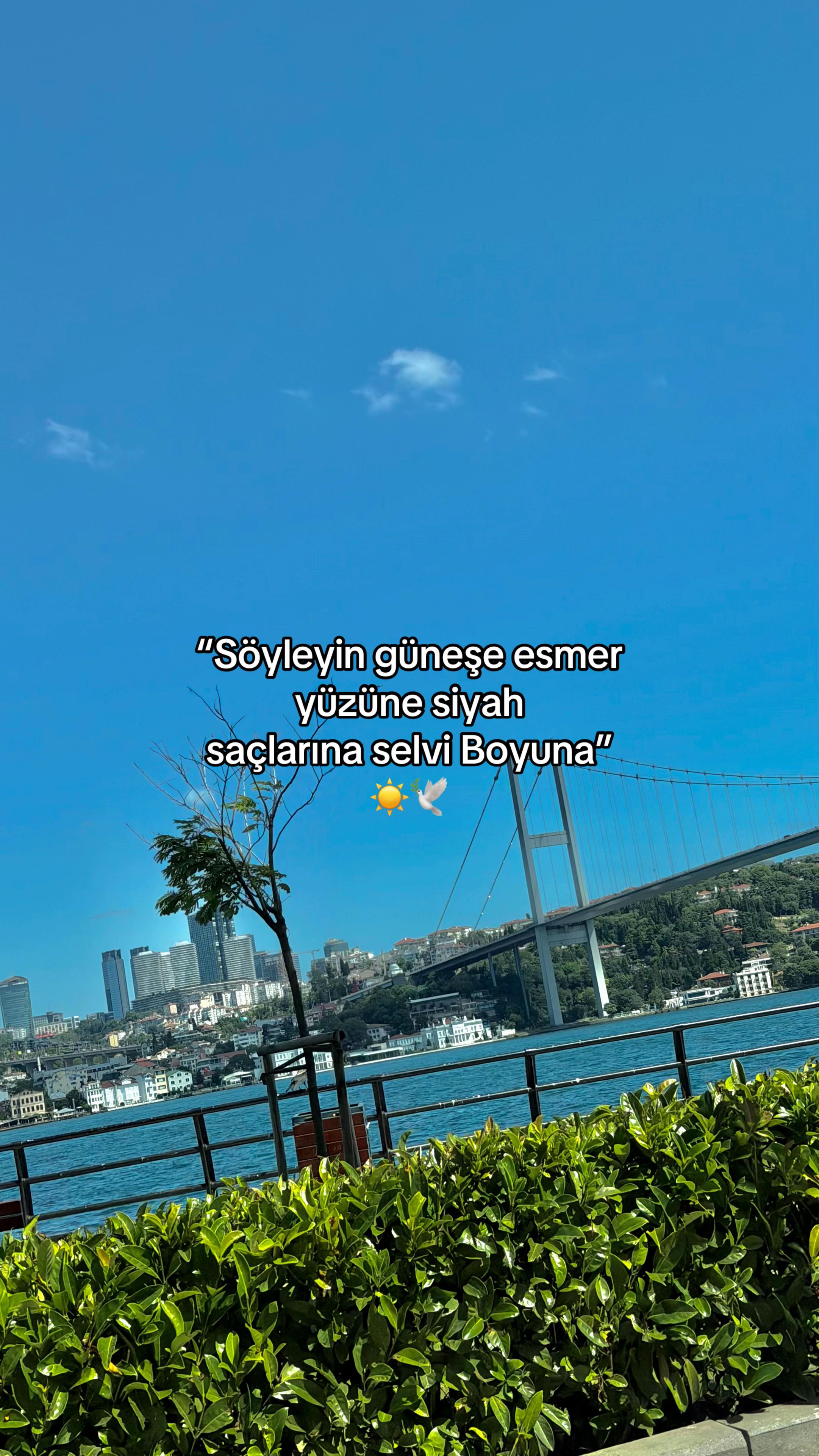 @baran_ak737