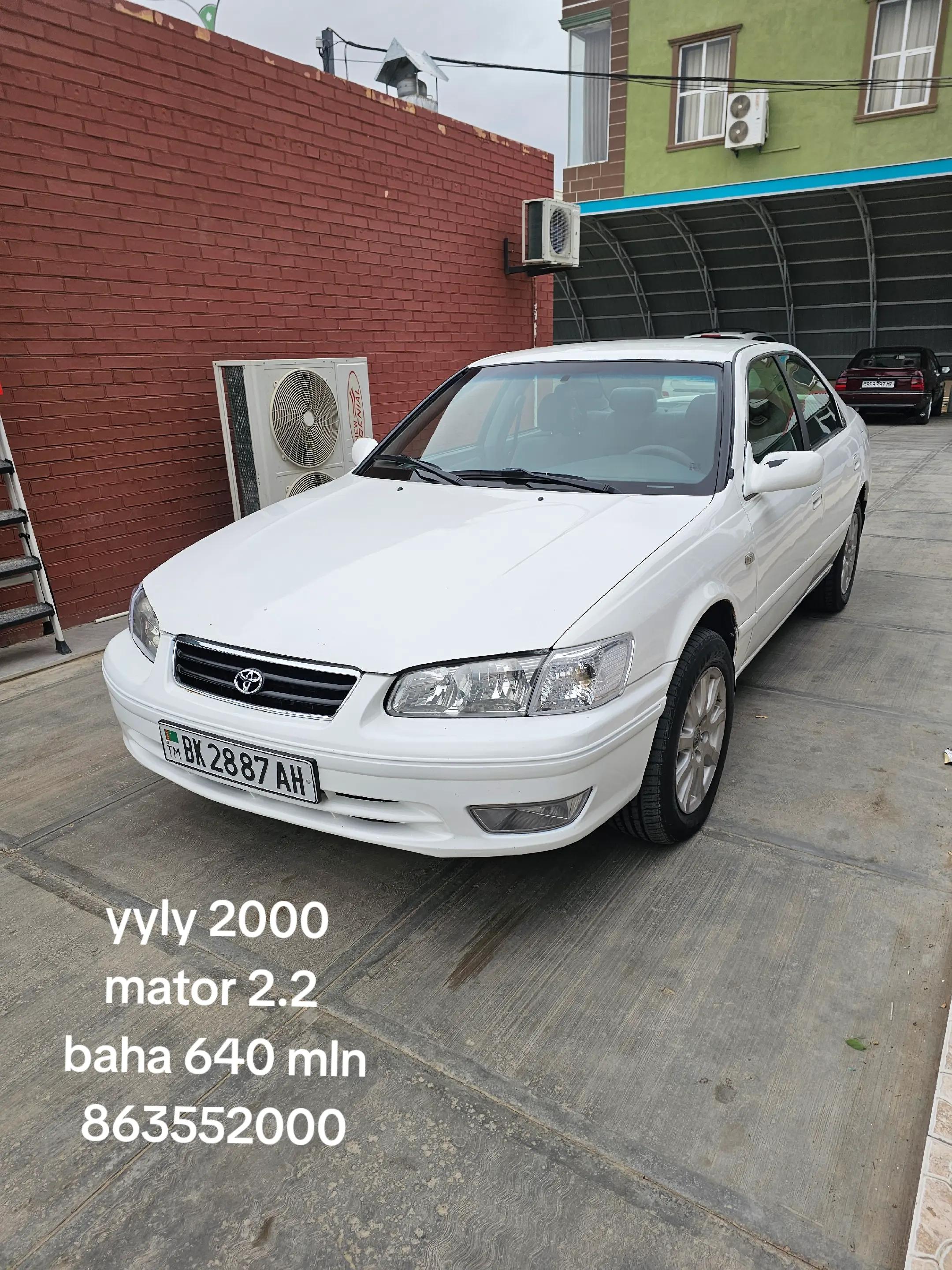 @Shapak Auto