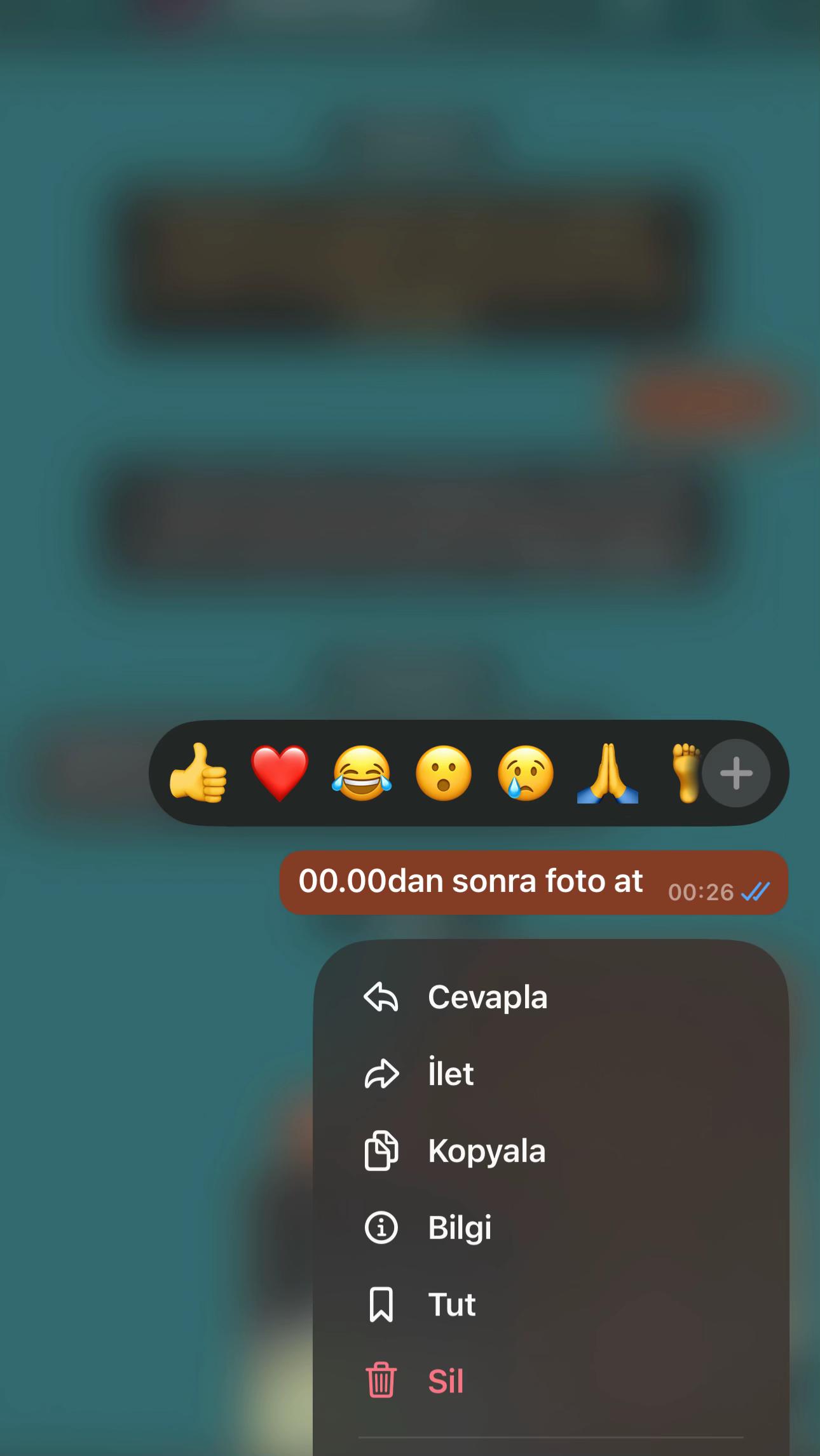 @🦭