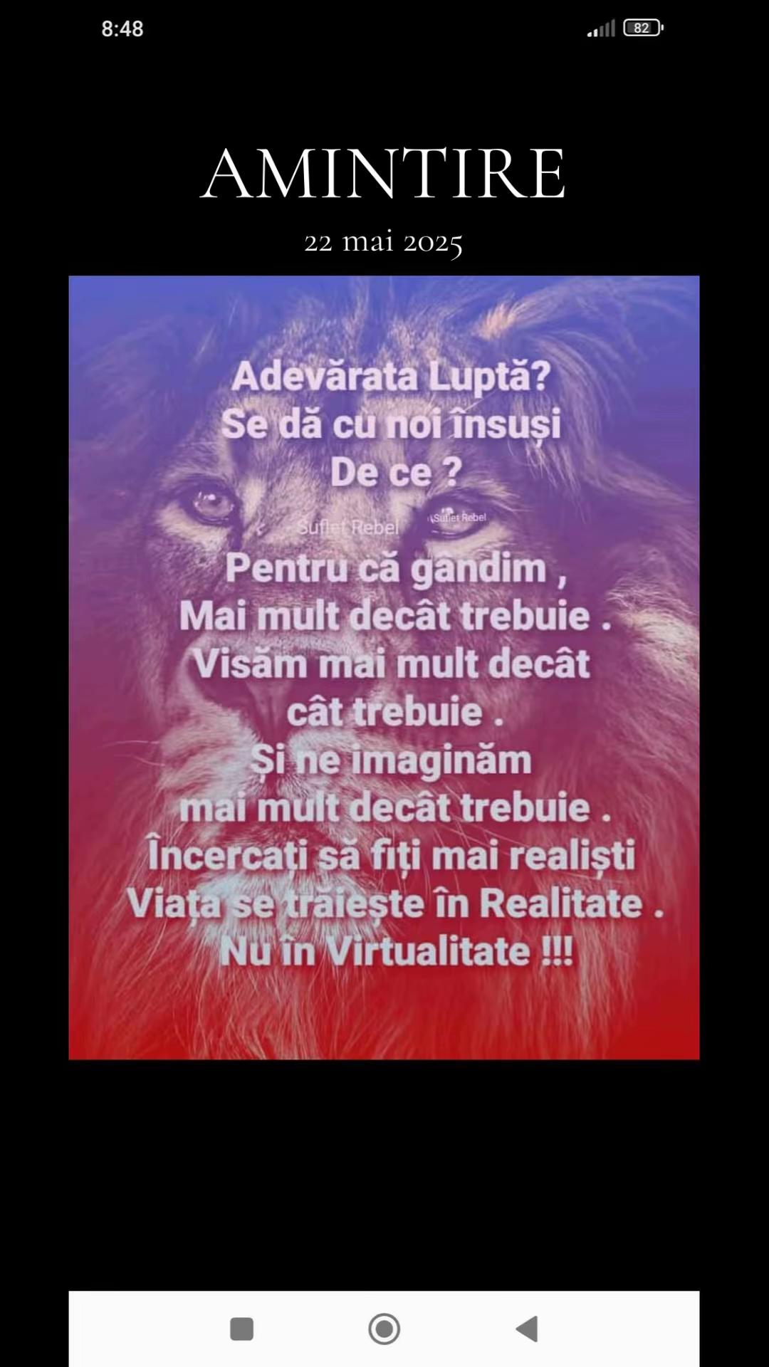 @Stanescu Magdalena