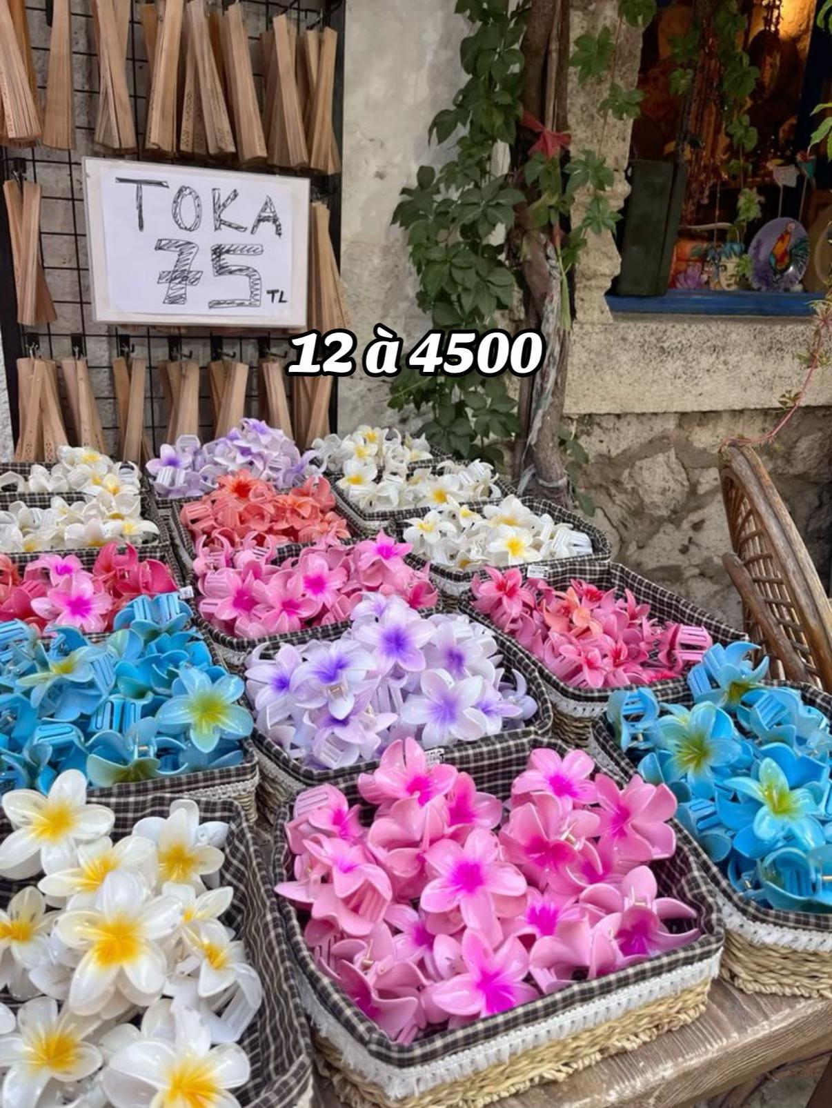 @zoulishop2