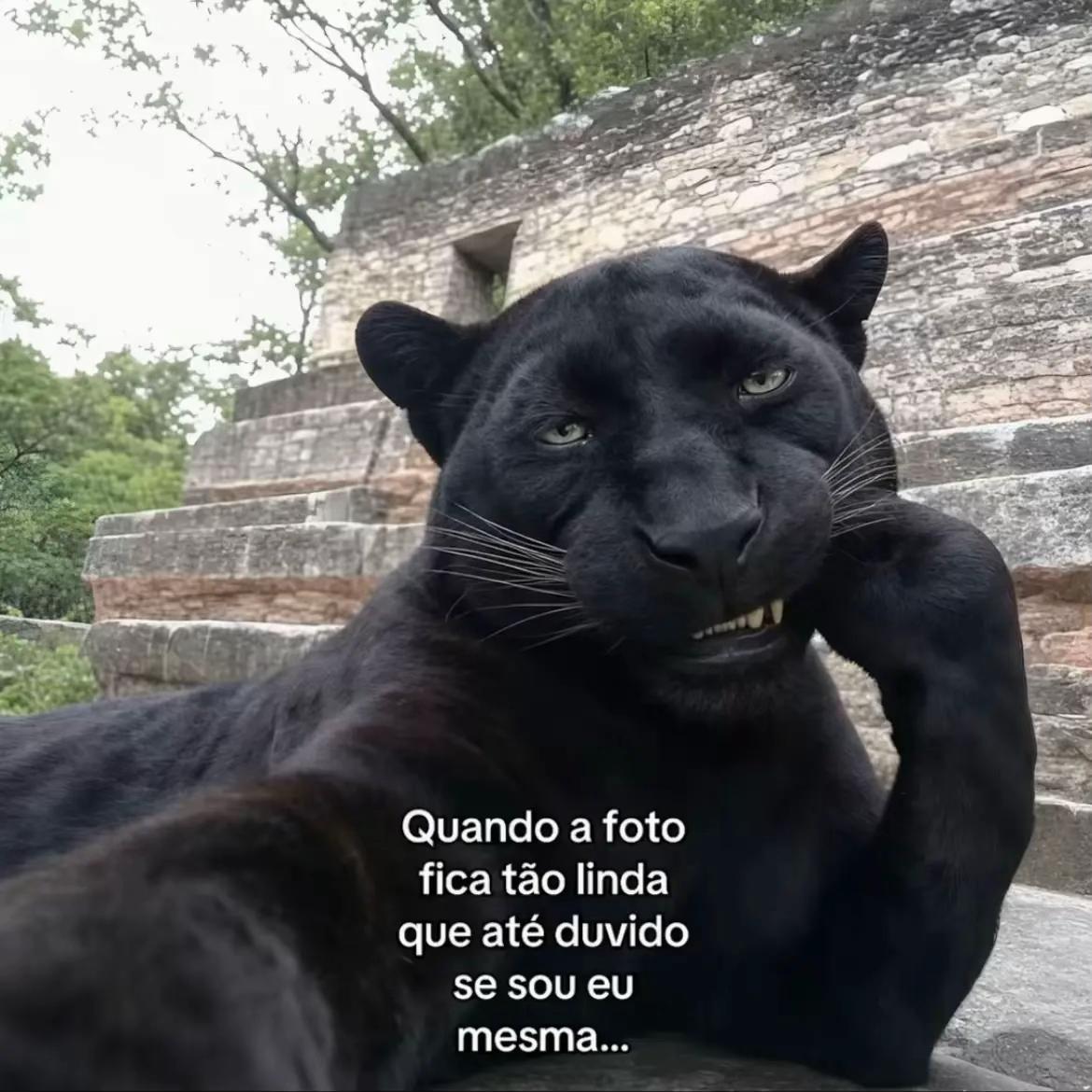 @karolayne limpi