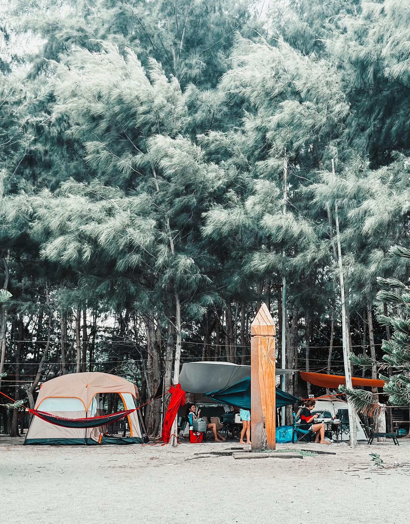 @sicampersph
