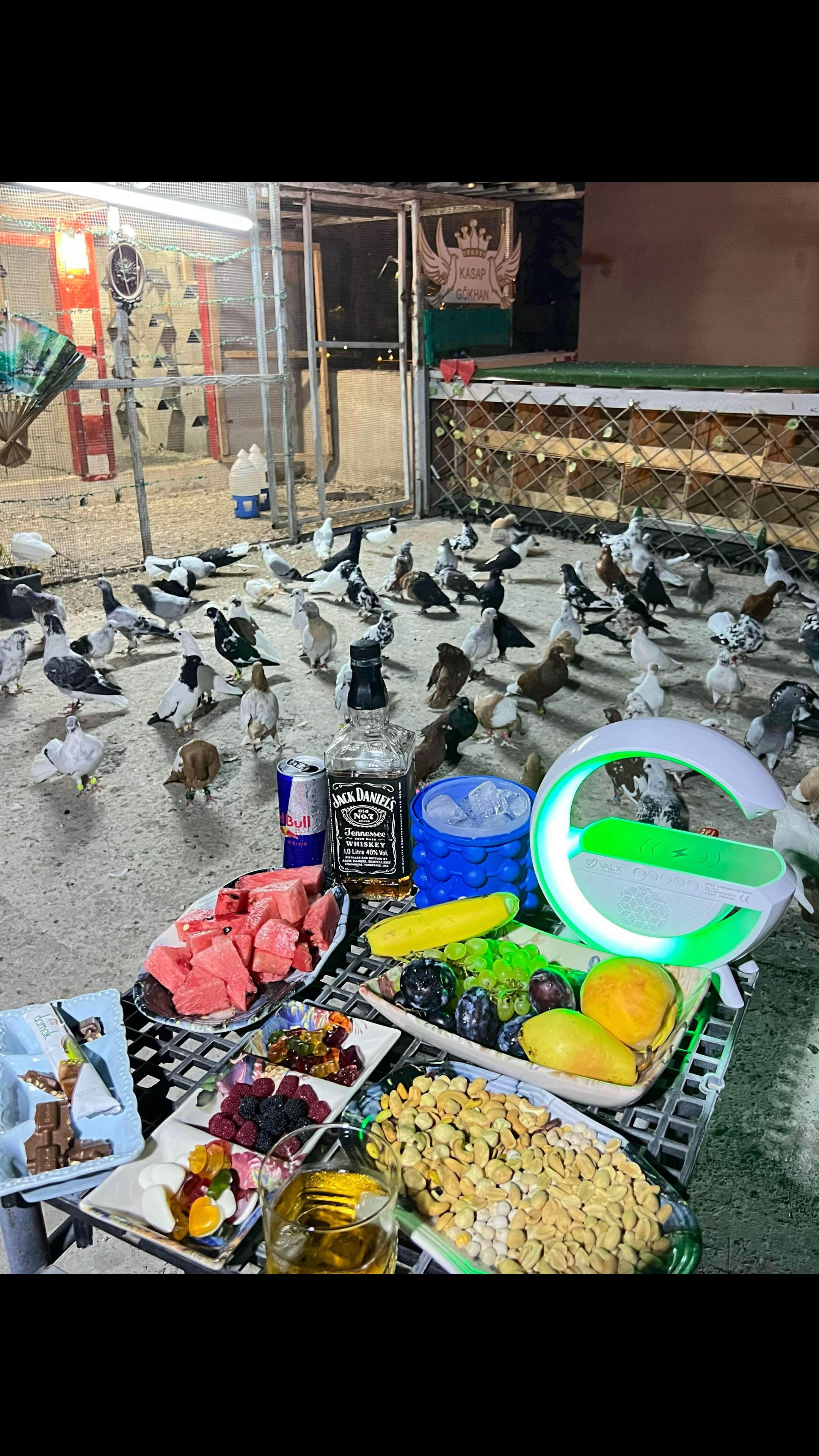 @🕊️ⓀⒶⓈⒶⓅ ⒼⓄⓀⒽⒶⓃ🕊️