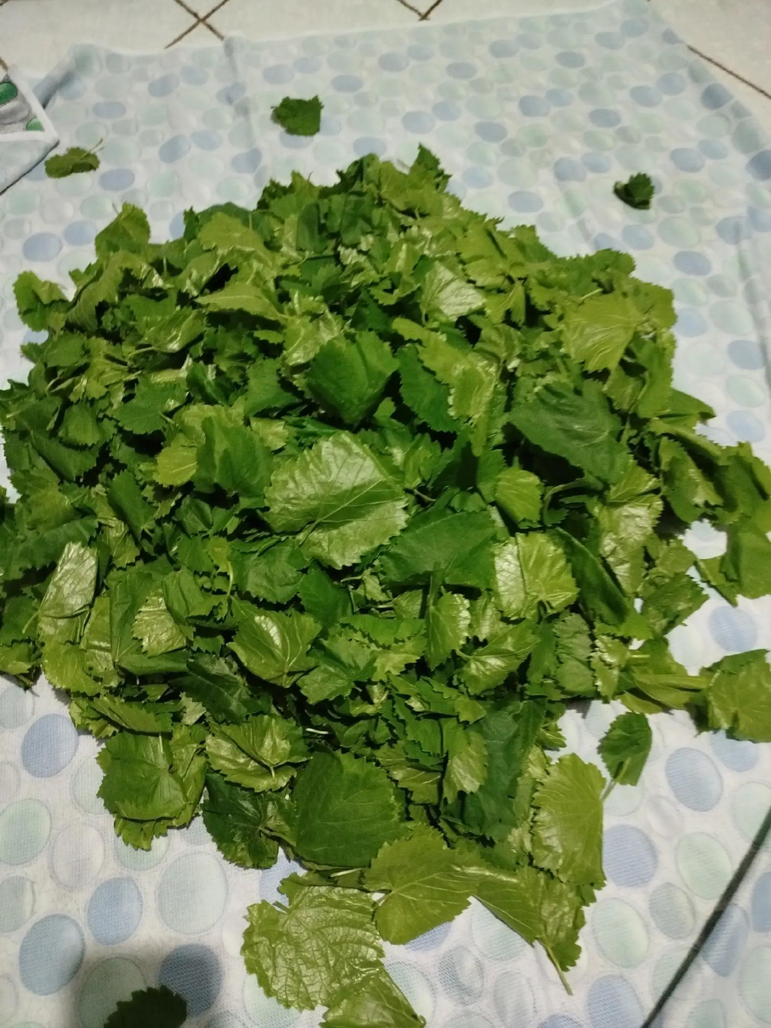 @Fatma temiz