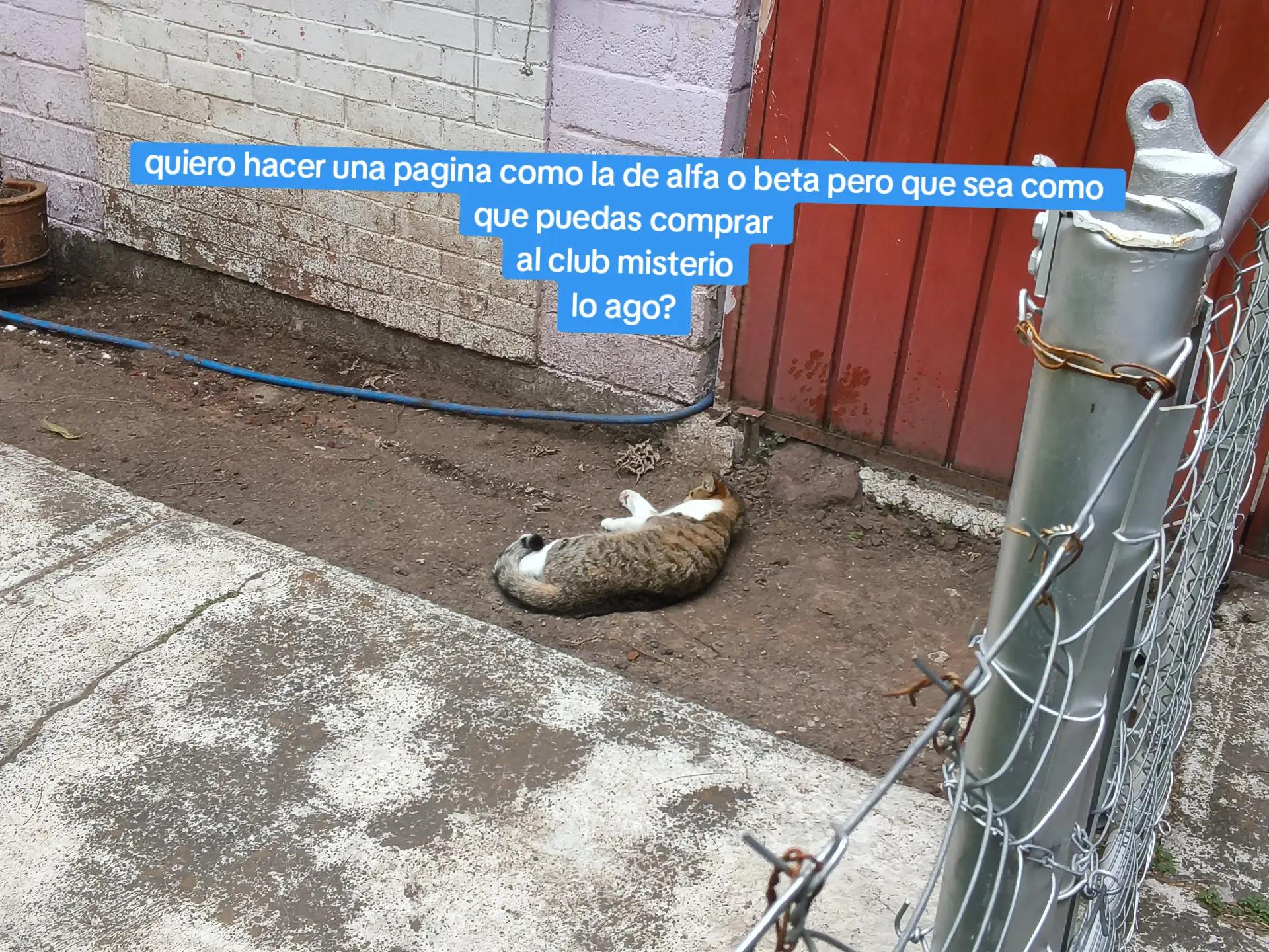 @Damian gochar