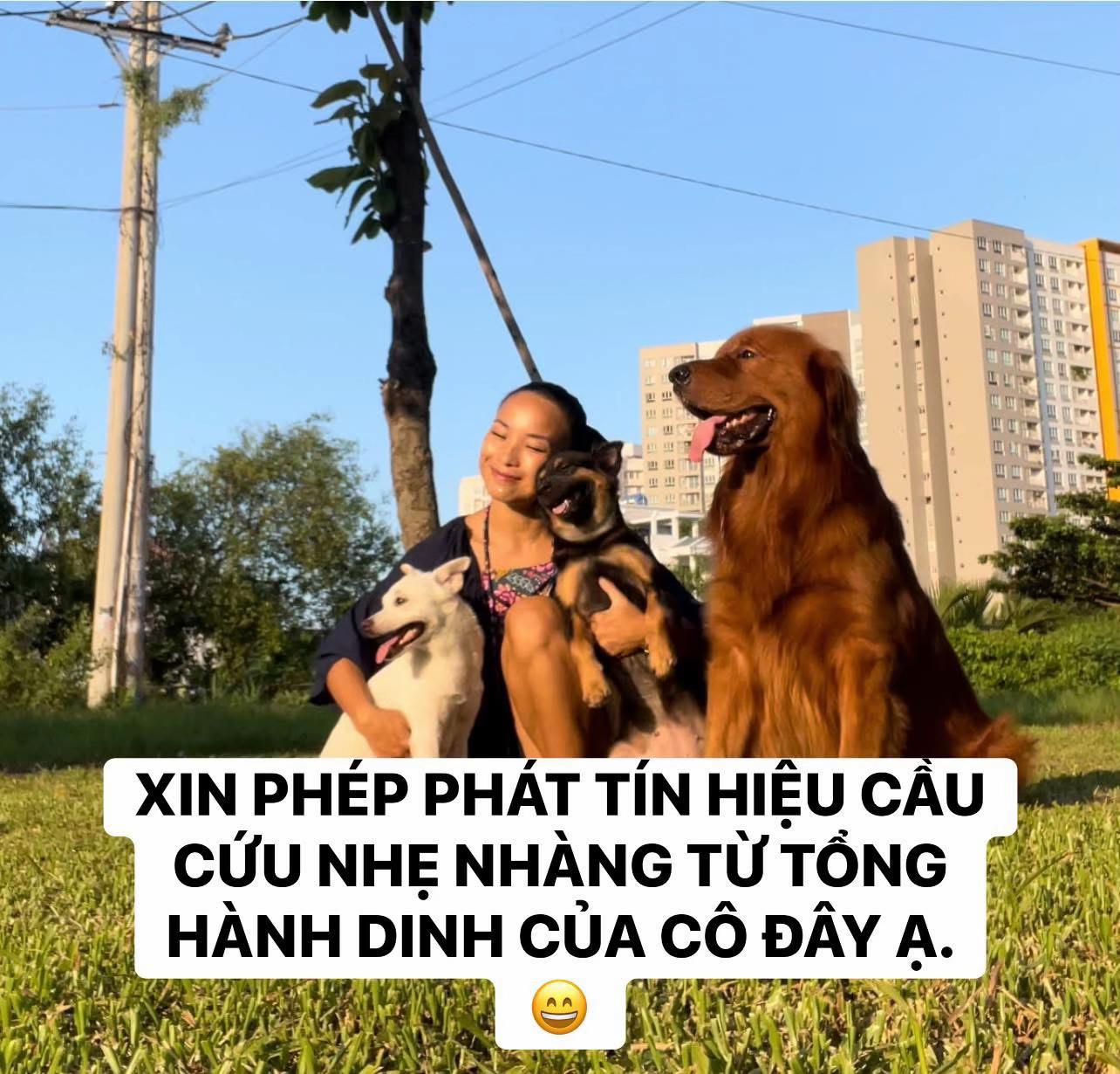 @buihoangbichtho