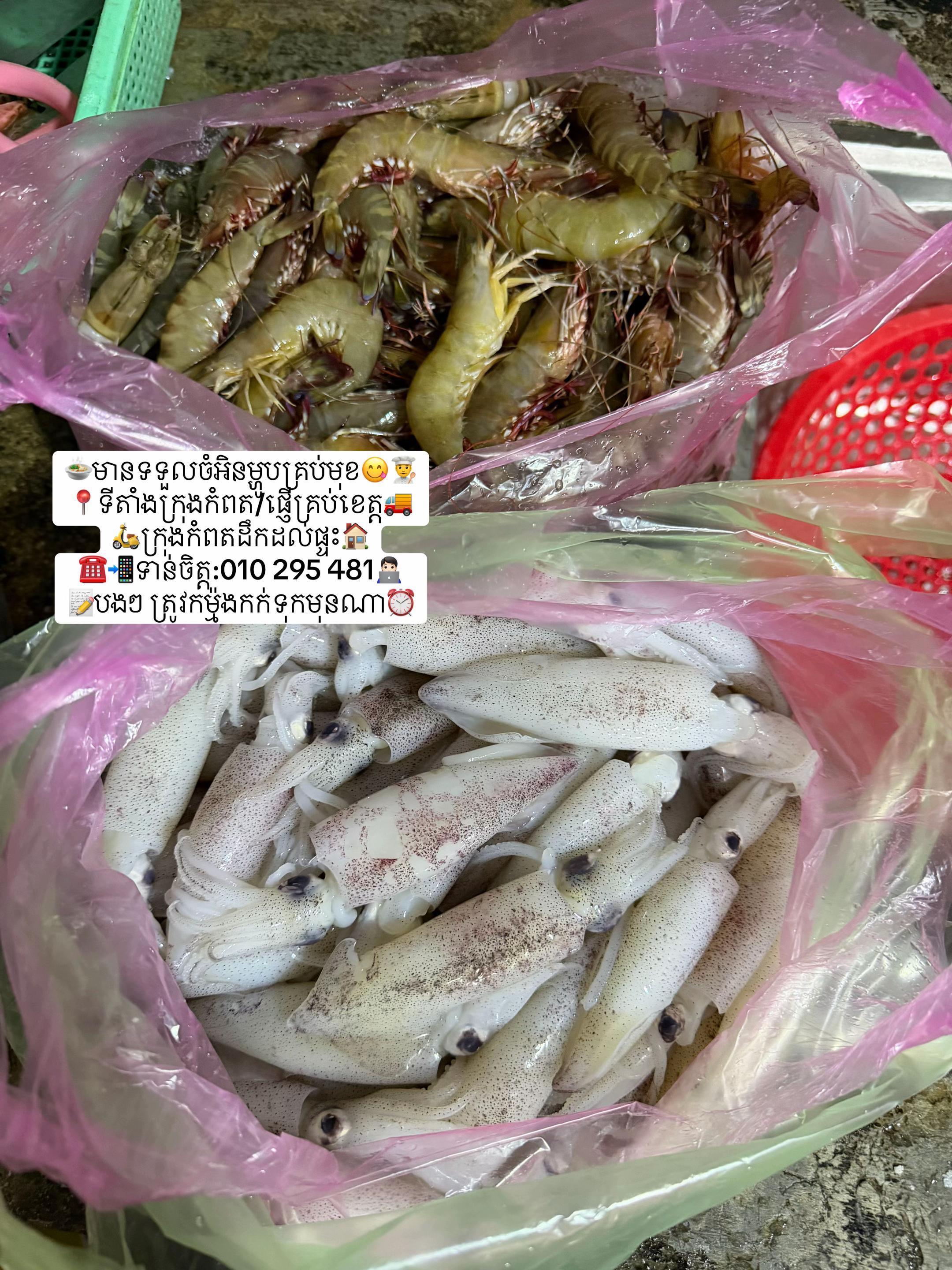 @កំពតគ្រឿងសមុទ្រ
