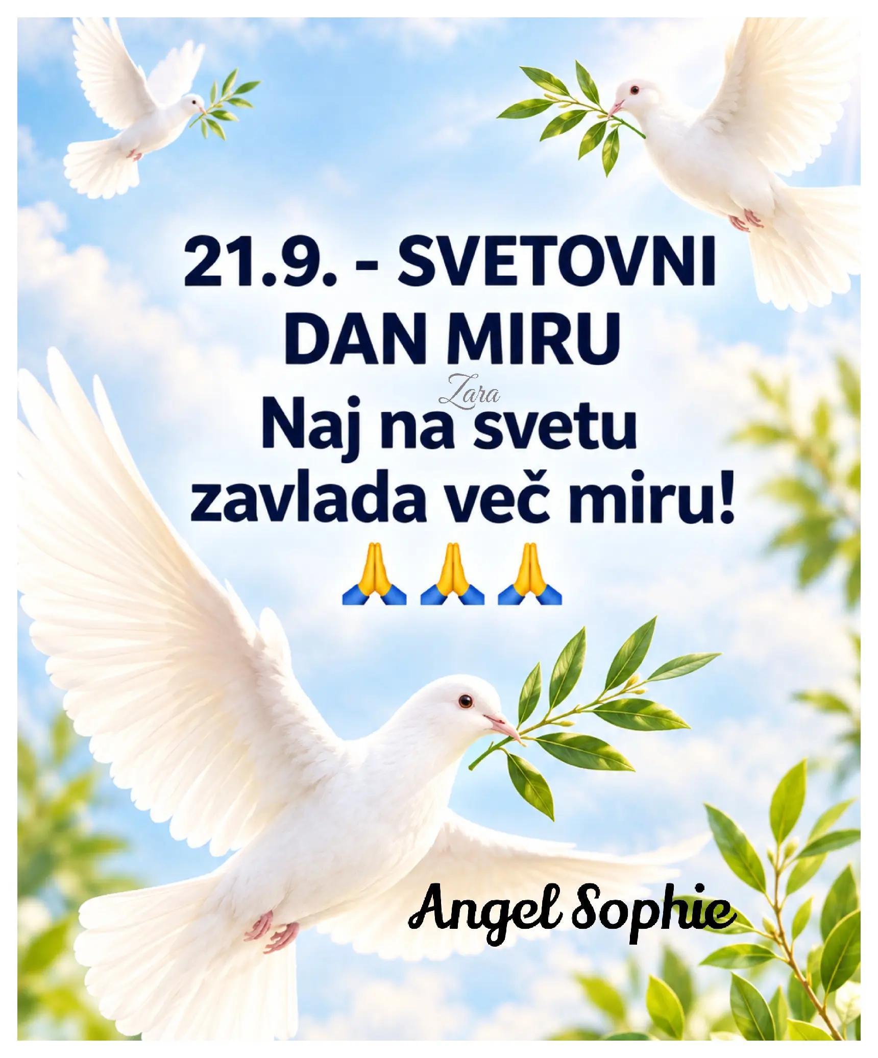 @Zara - Angel Sophie