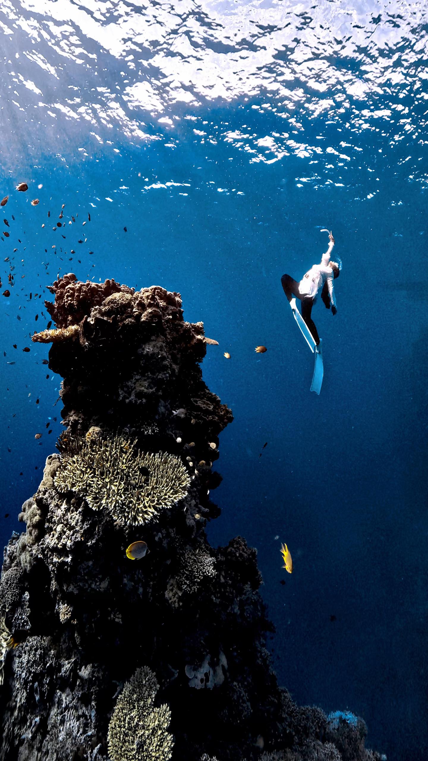 @divewith_eyJ