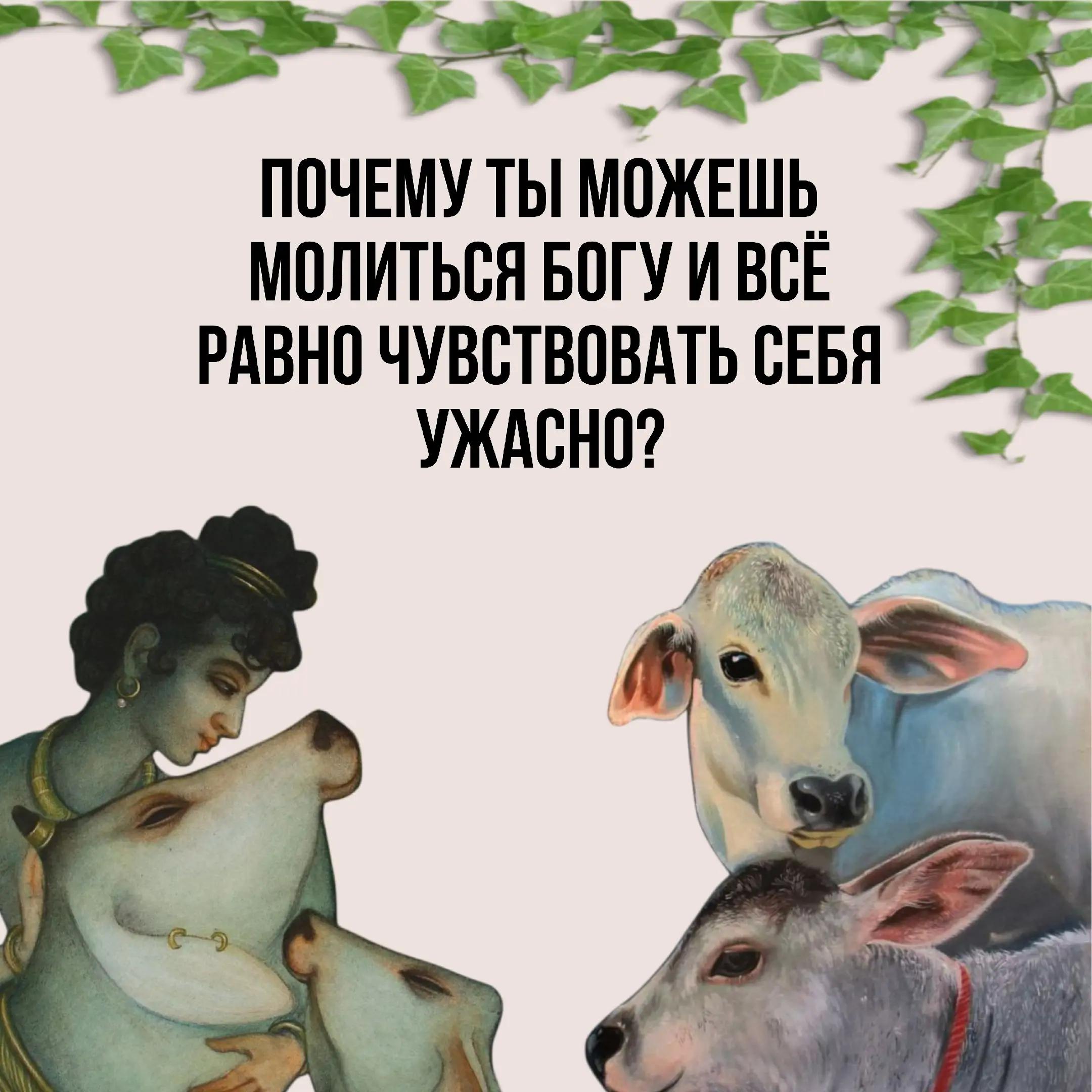 @Дхара