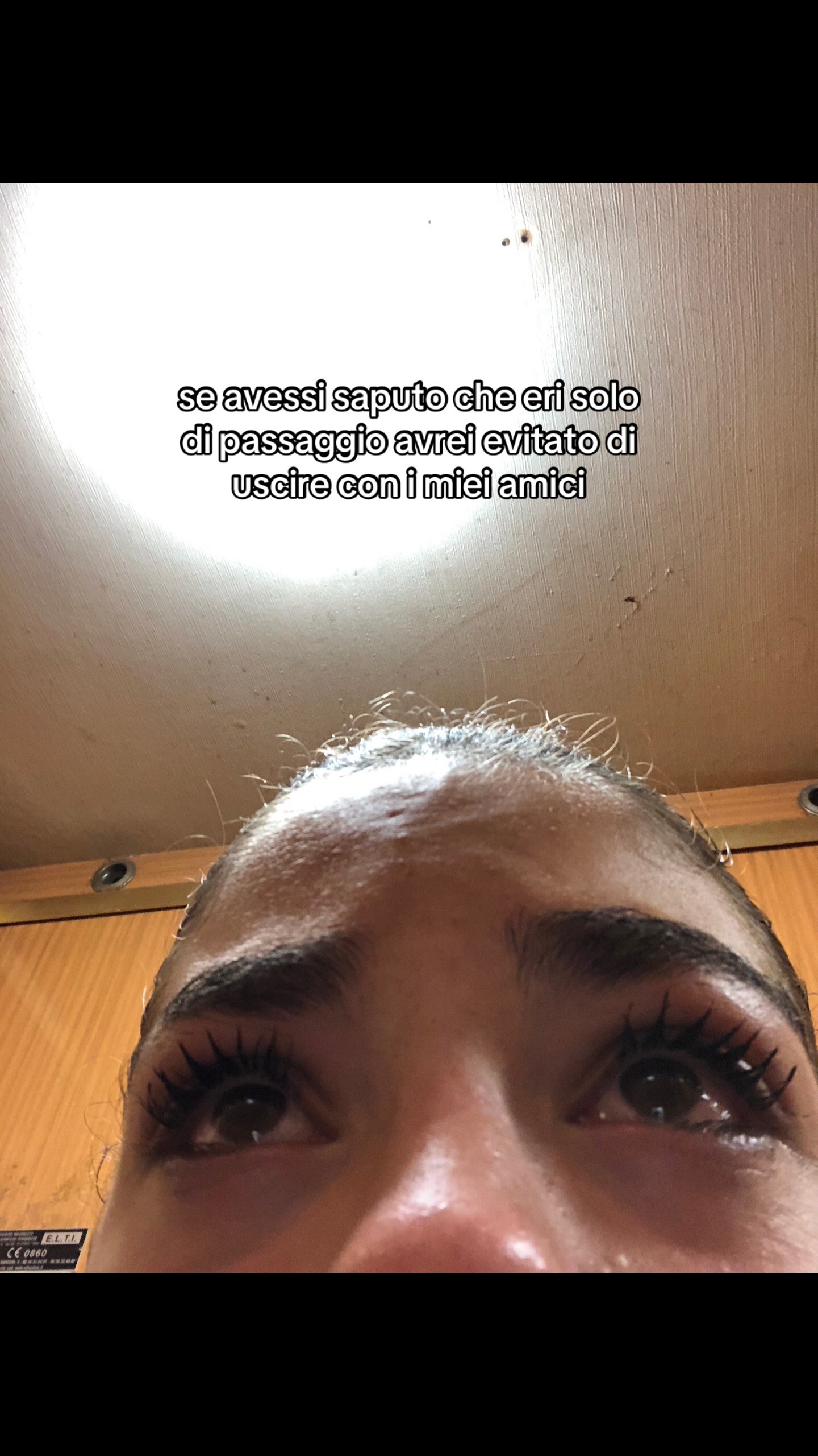 @spammzuzu2