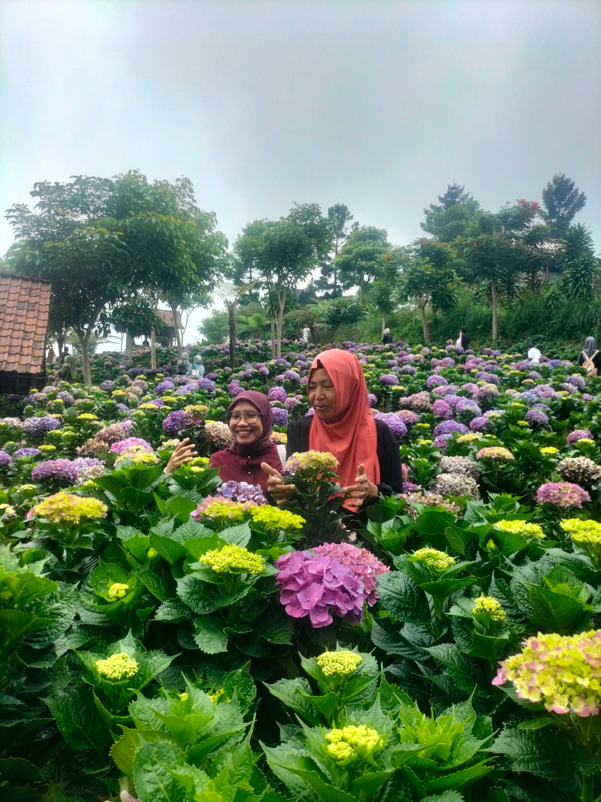 @EKLASWATI🇮🇩🐝