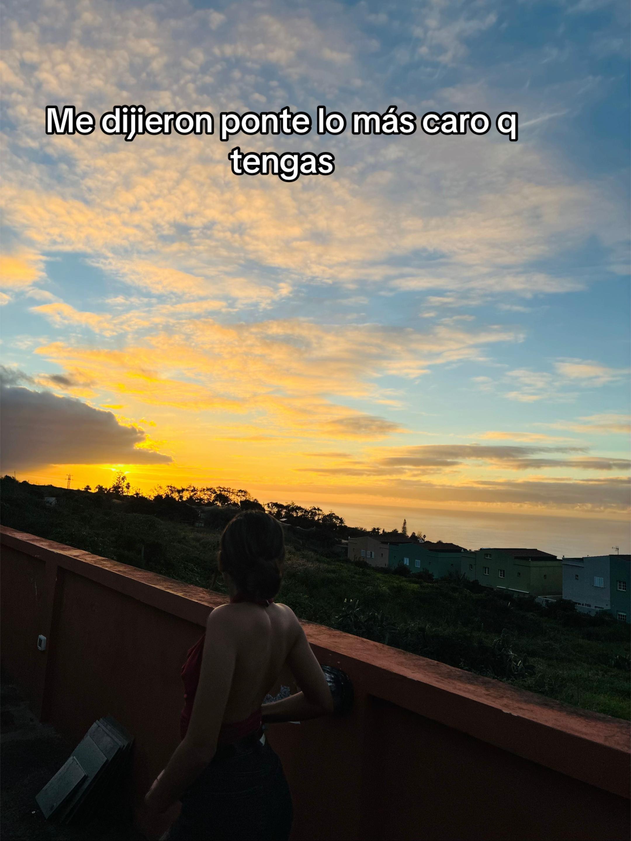 @laurisilva.012