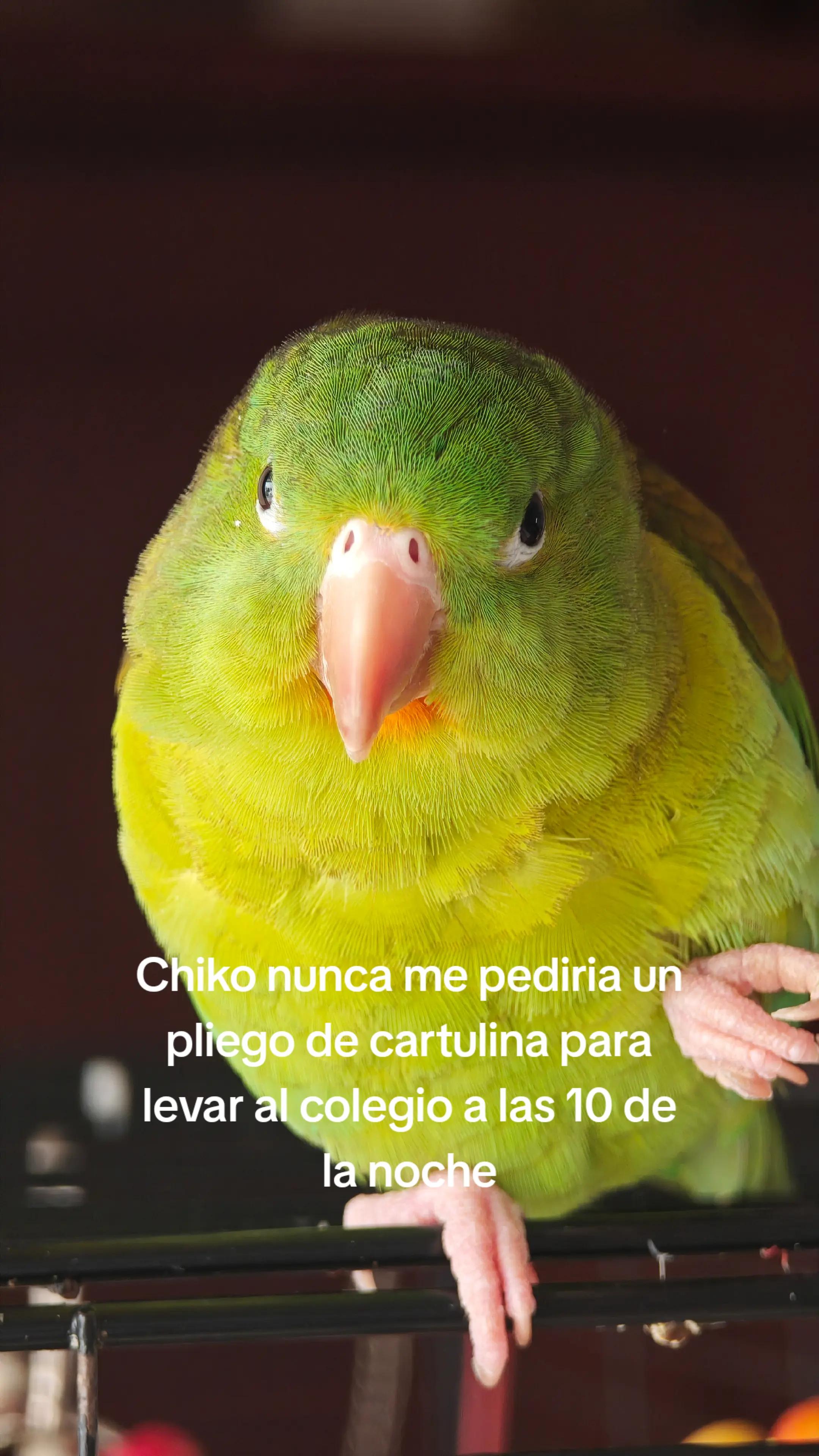 @Pohli