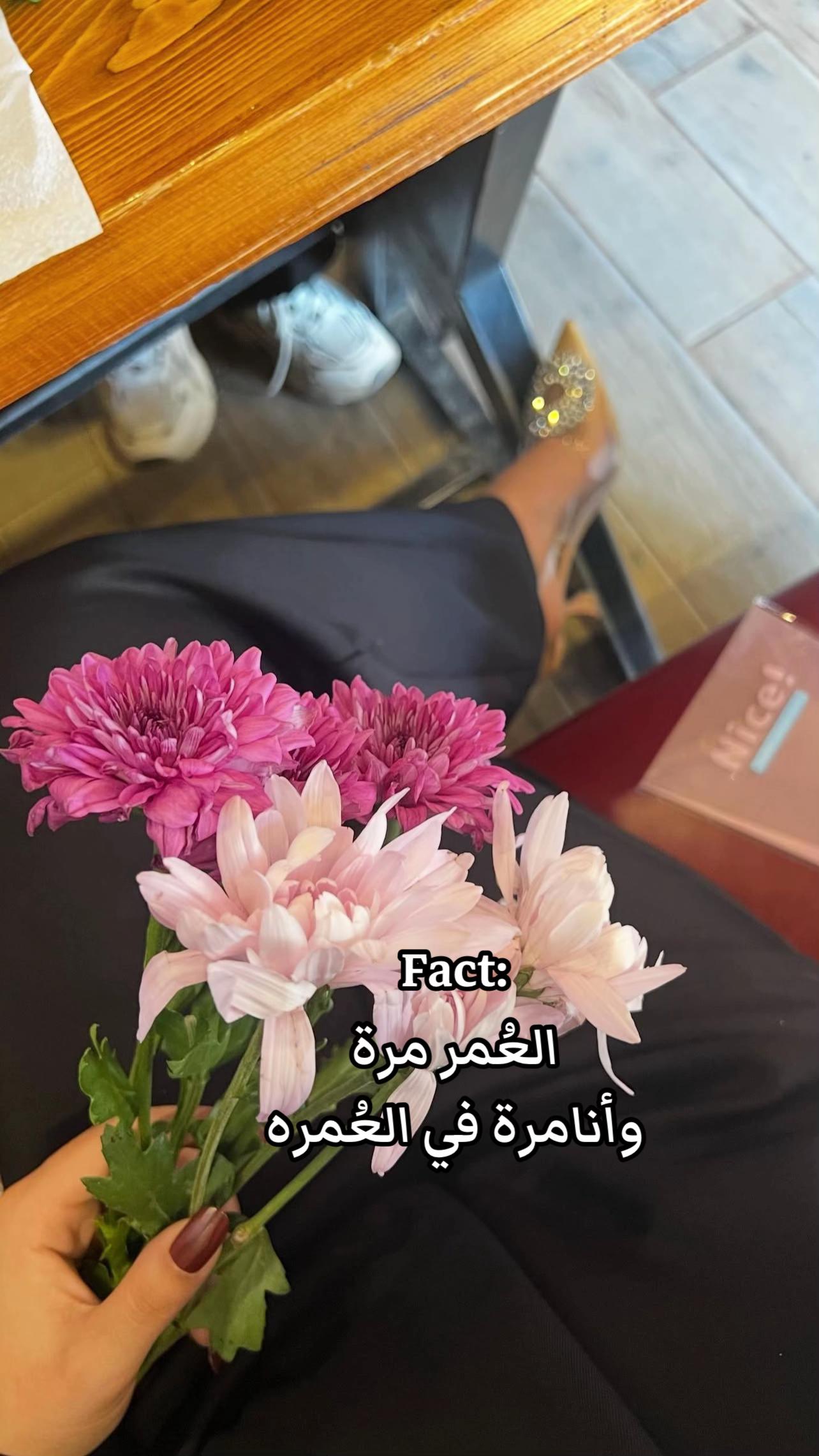 @𝙏ِ𝙤ََ𝙤𝙩 🎀