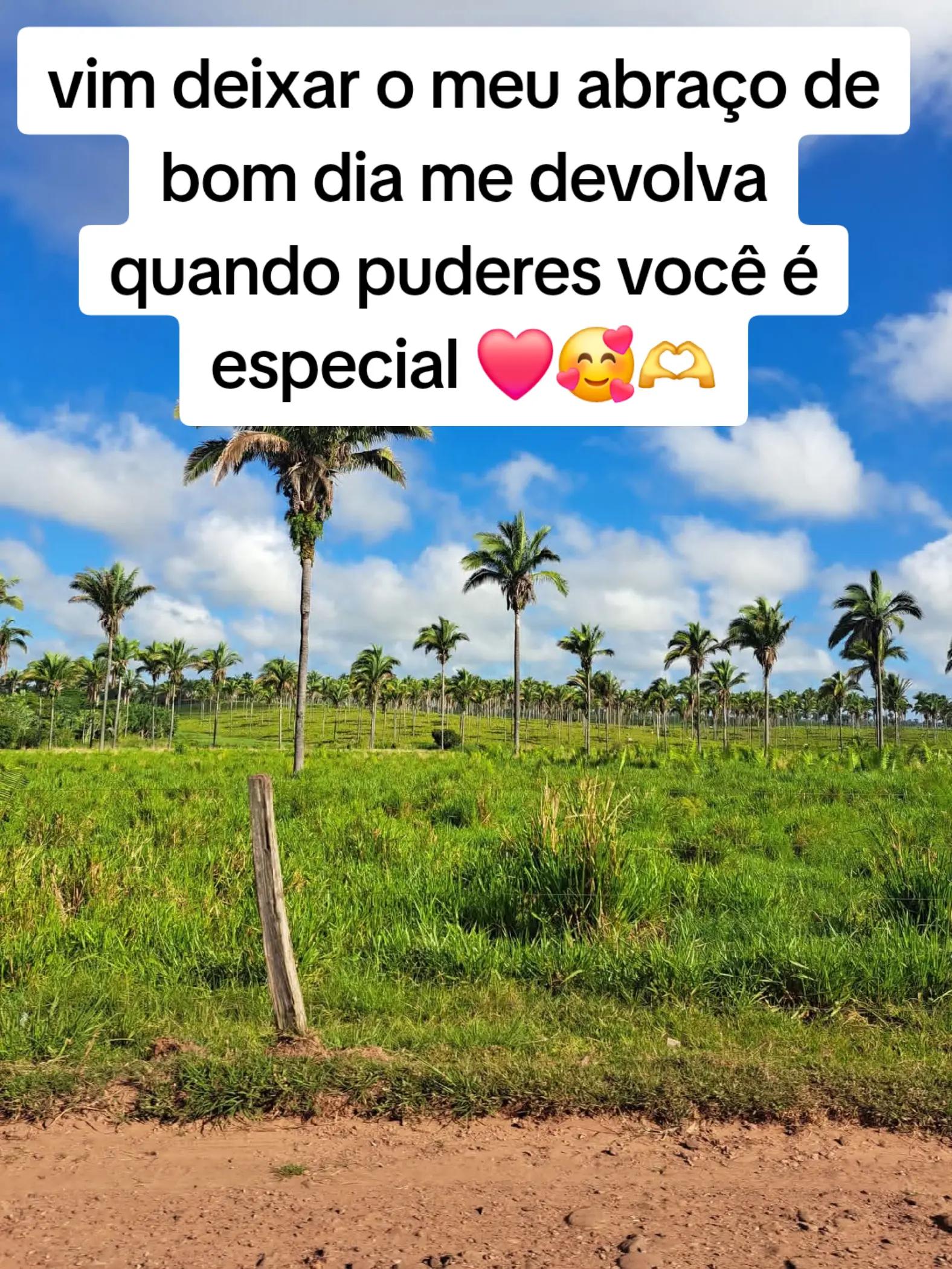 @O menino da estrada