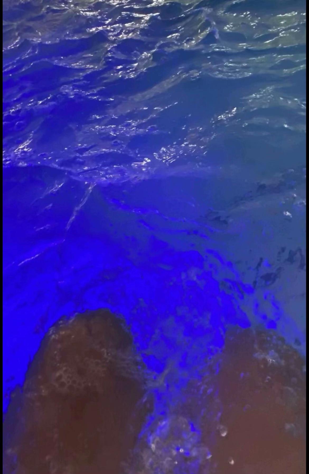 @𝒥𝒹&rsquo;🪽