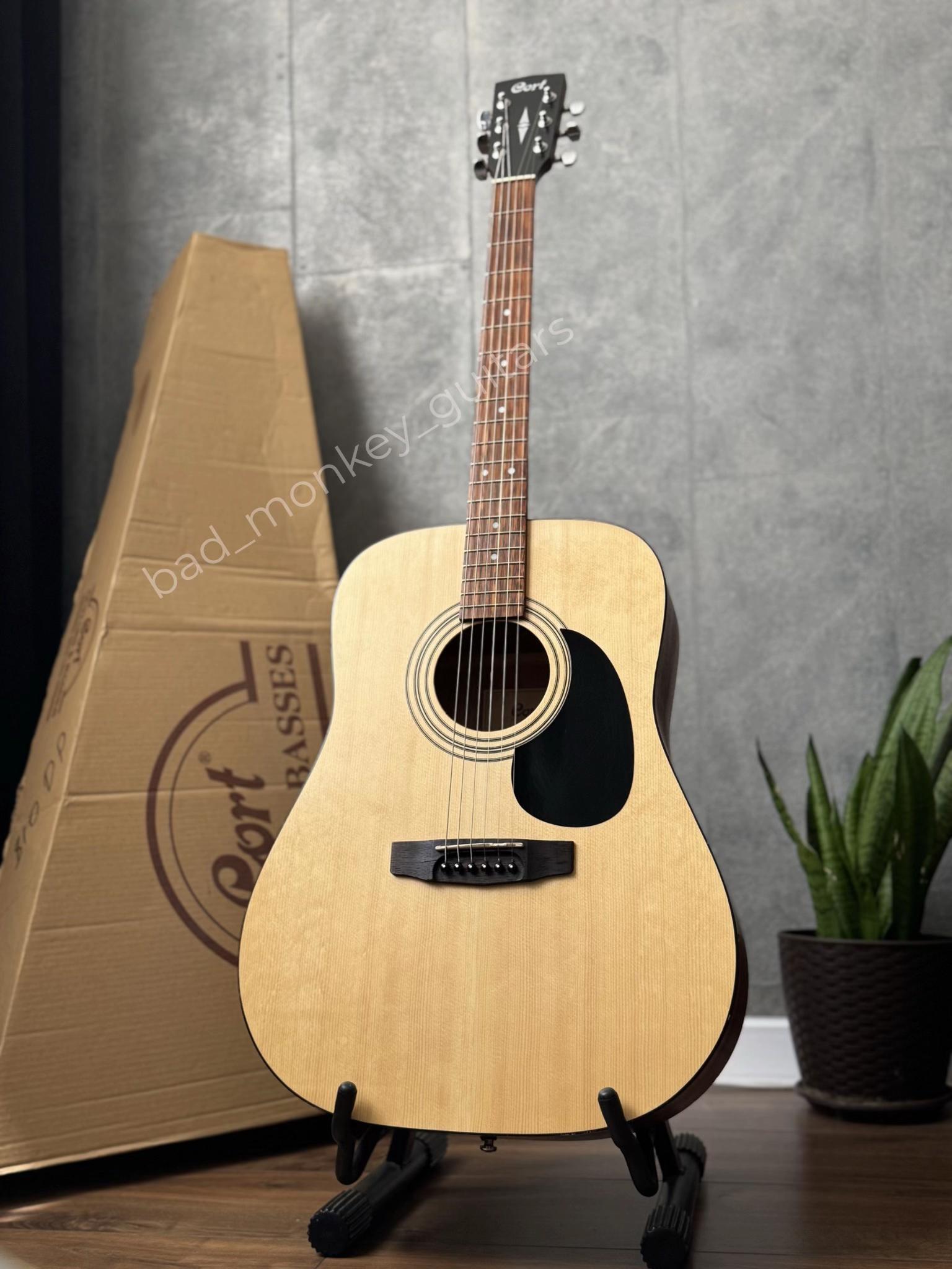 @Bad Monkey Guitars