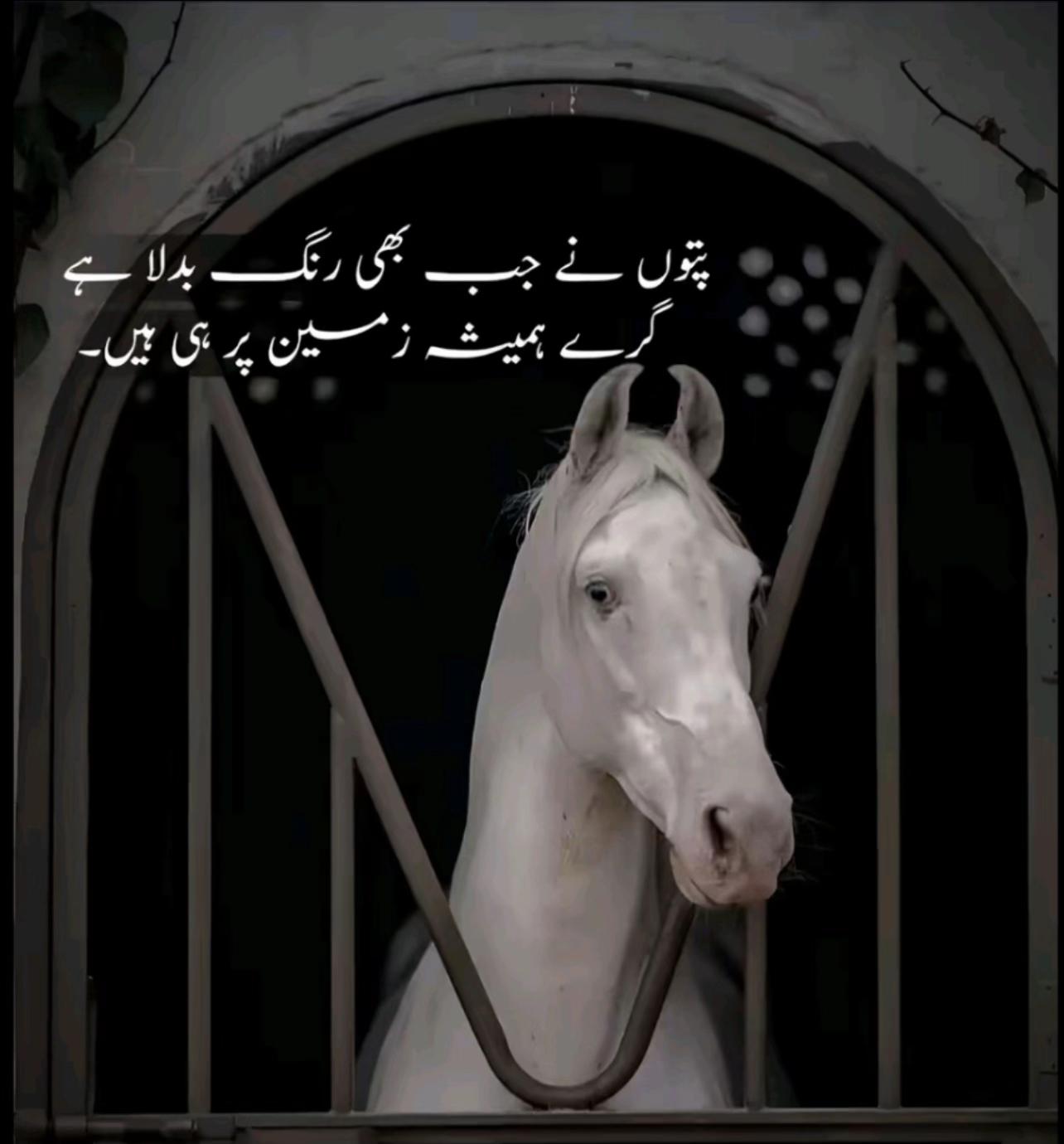 @$adam_rana✍🏻🎭