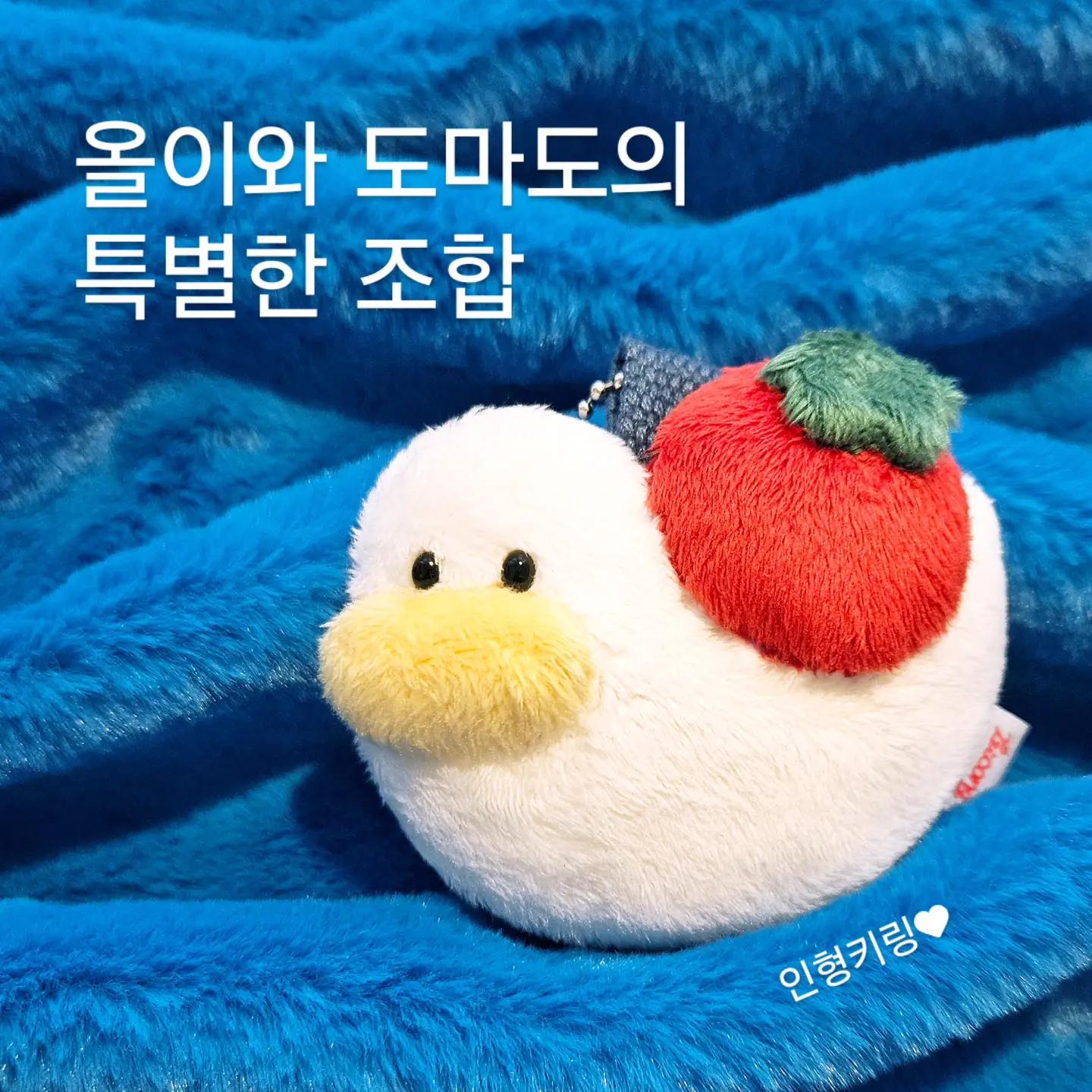 @zzicong_store