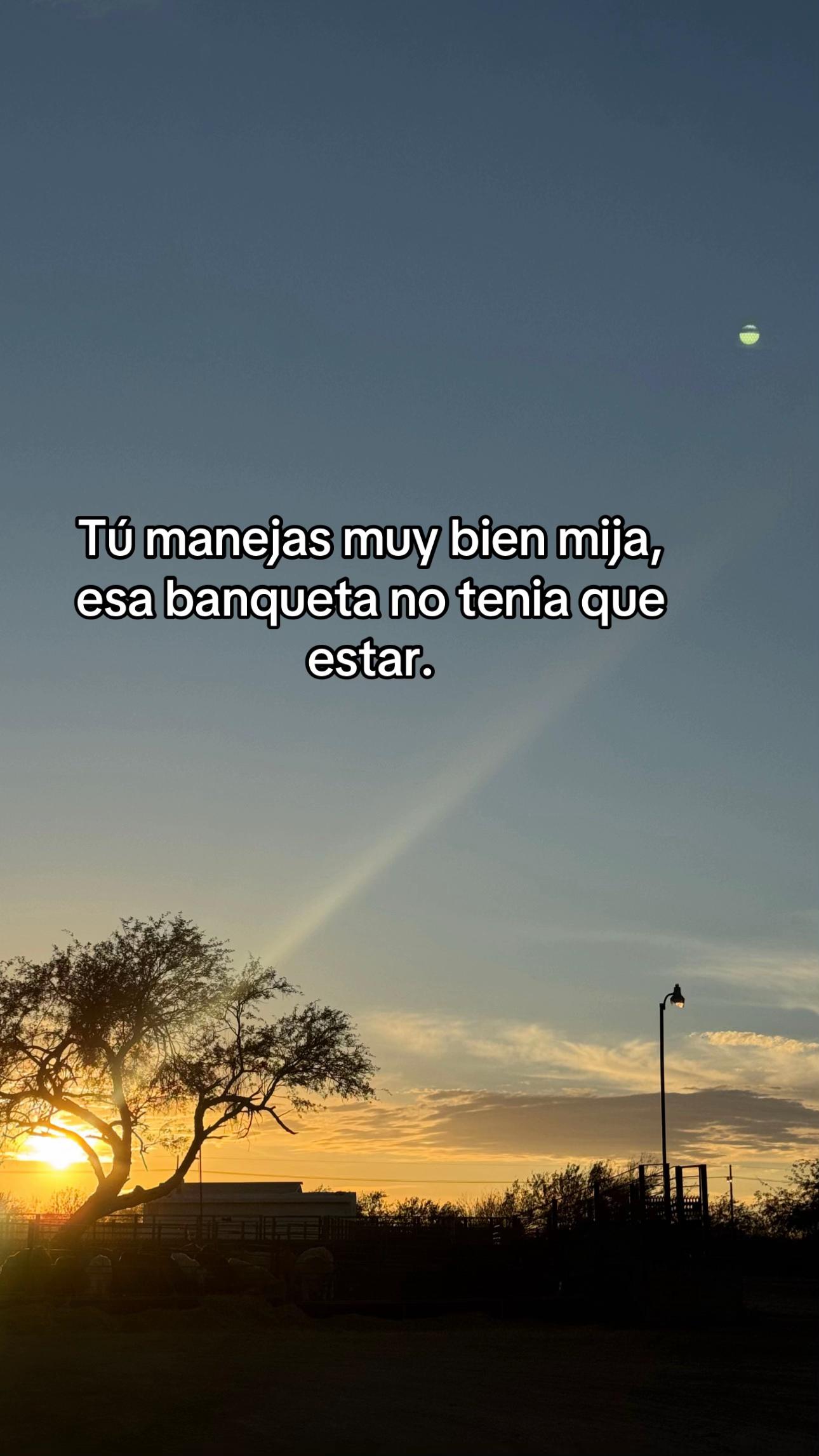 @Mis