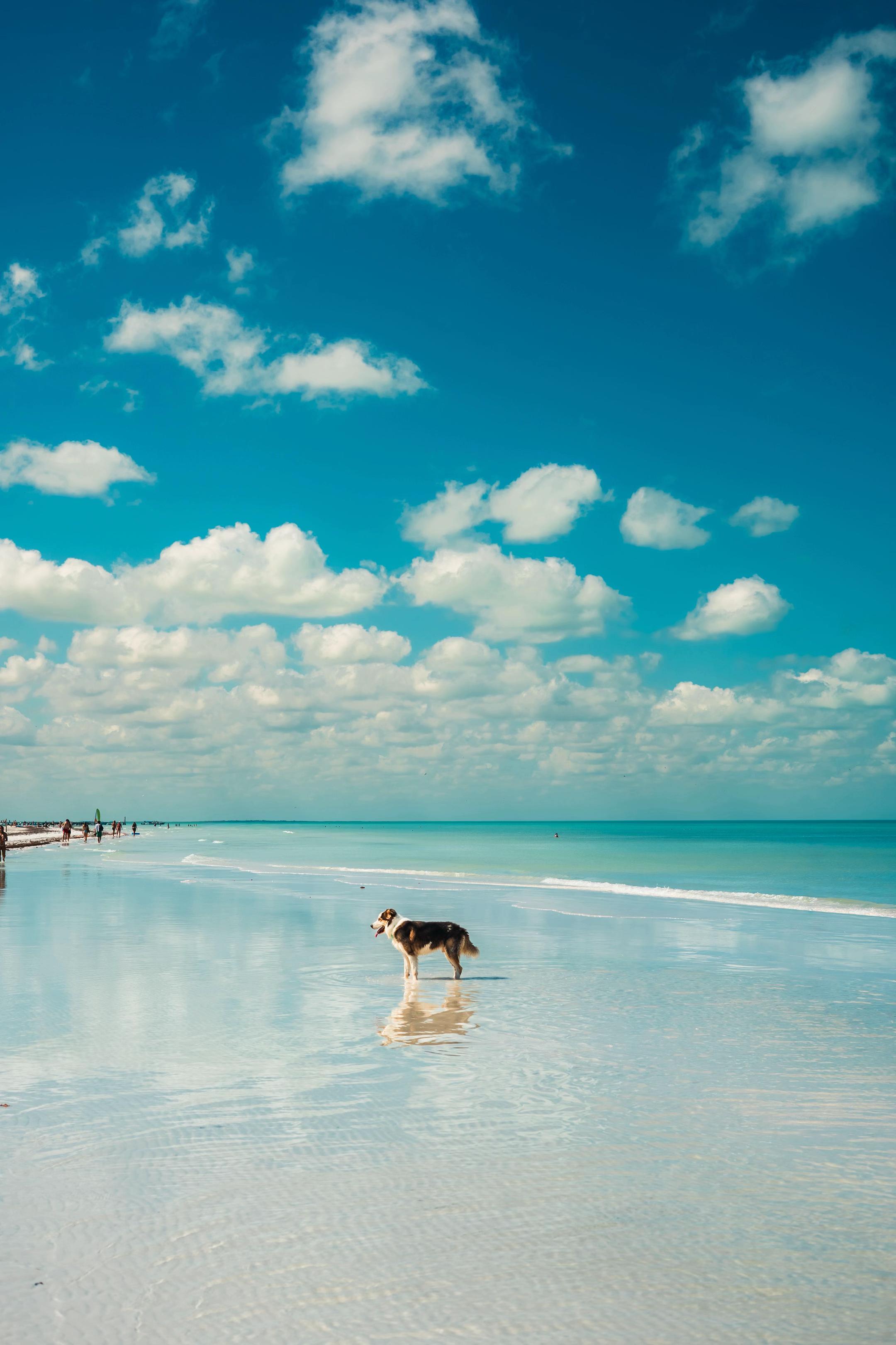 @Murph_holbox