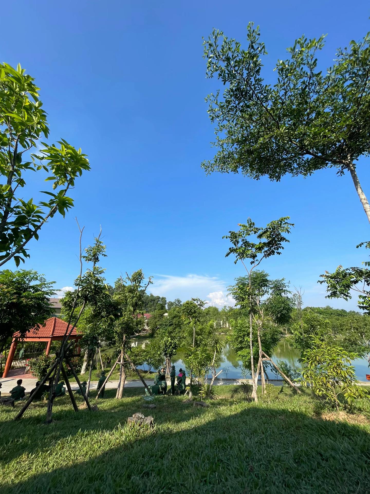 @Thanh Sơn