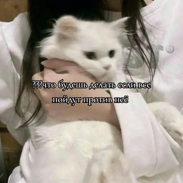 @ТГК Music_box696