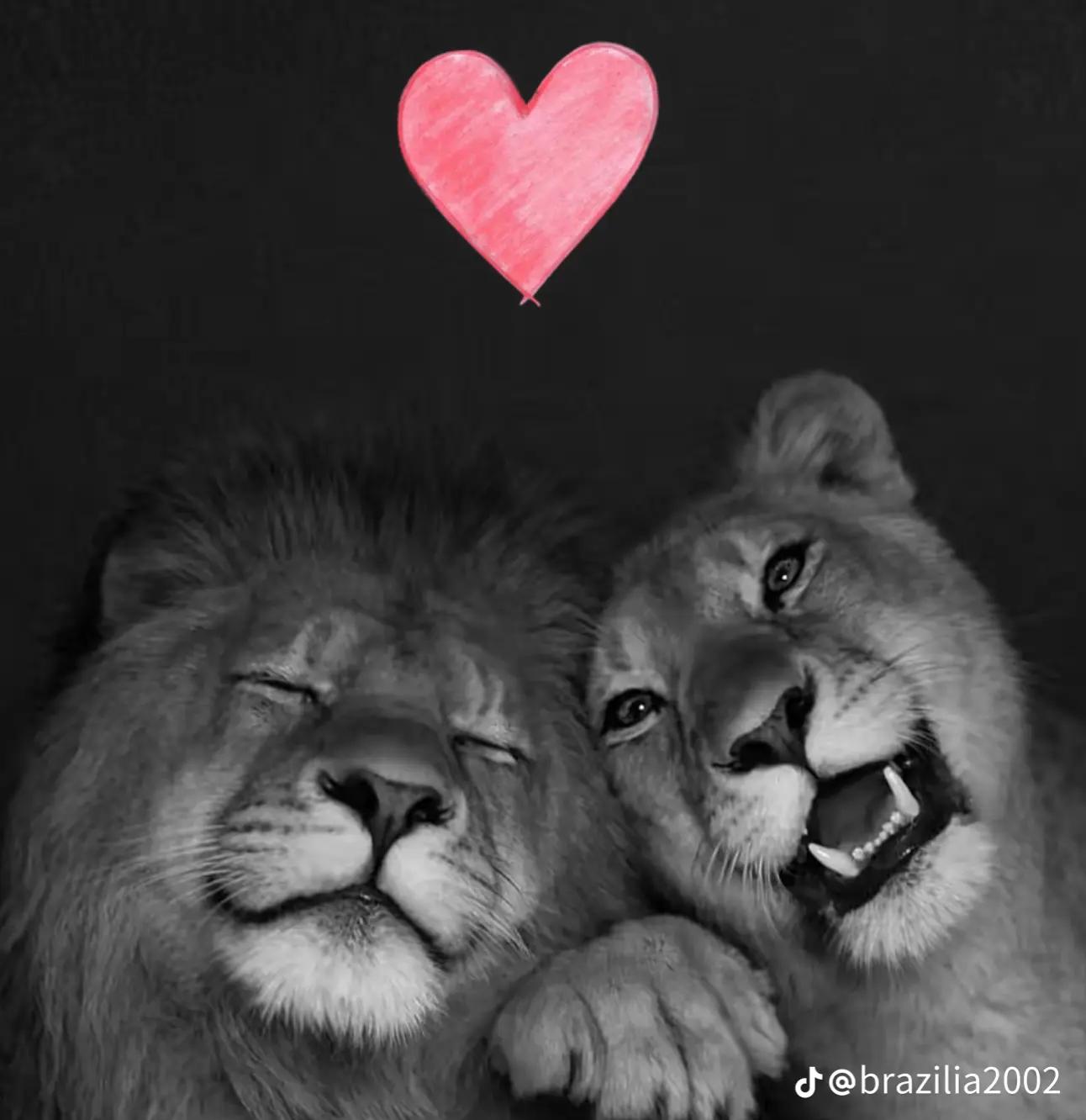 @اخلاص 🌸🌸🌸