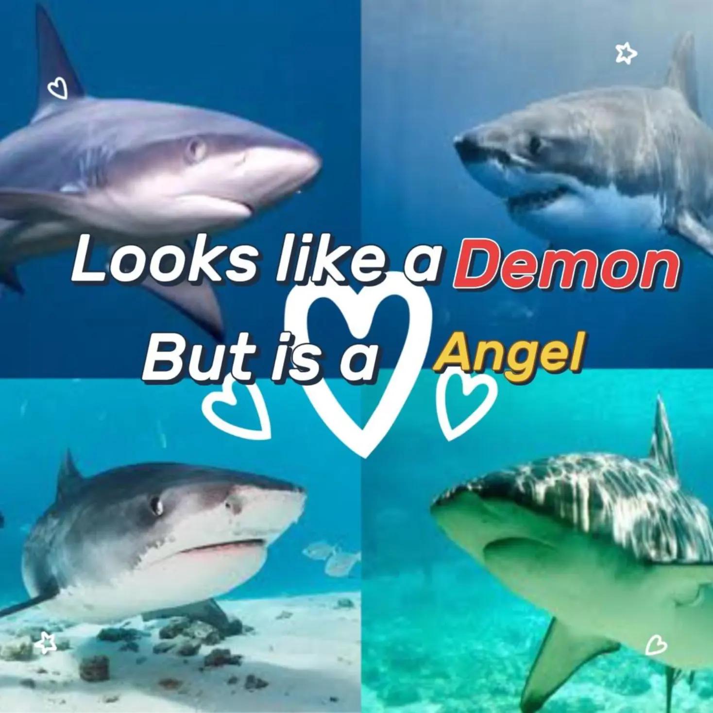 @♡☆𝓜𝓲𝓭𝓷𝓲𝓰𝓱𝓽☆♡