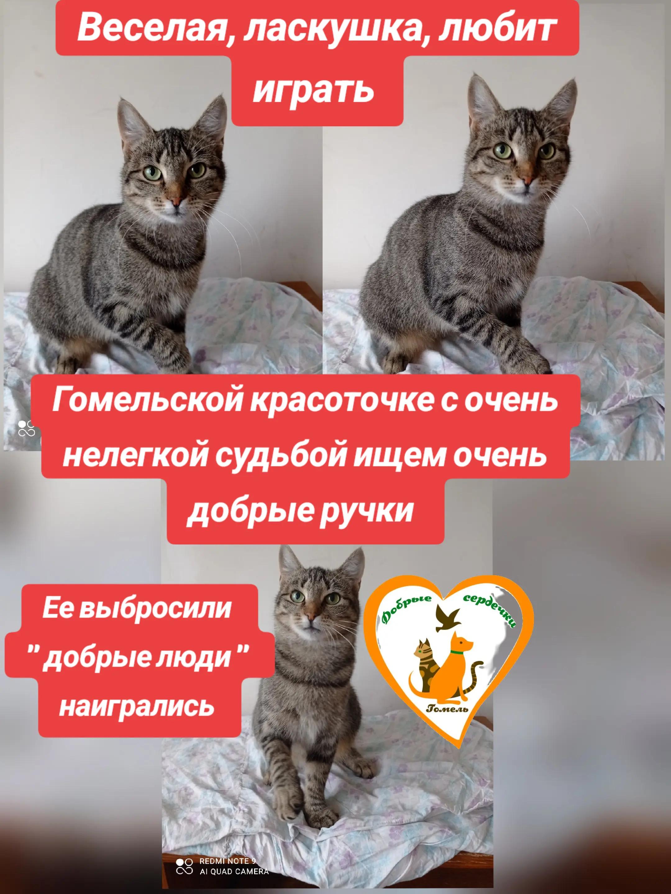 @Марина