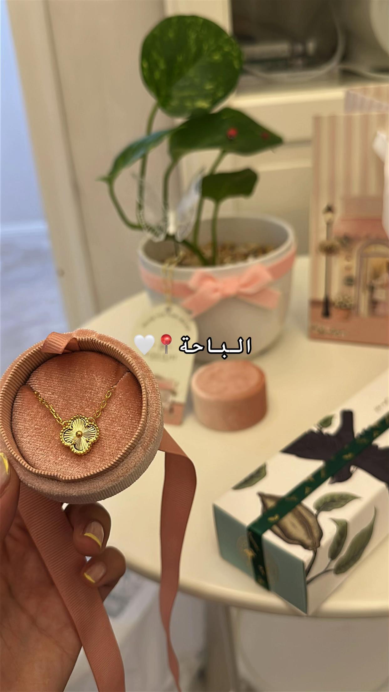 @لوسيـدا-الباحة🪴