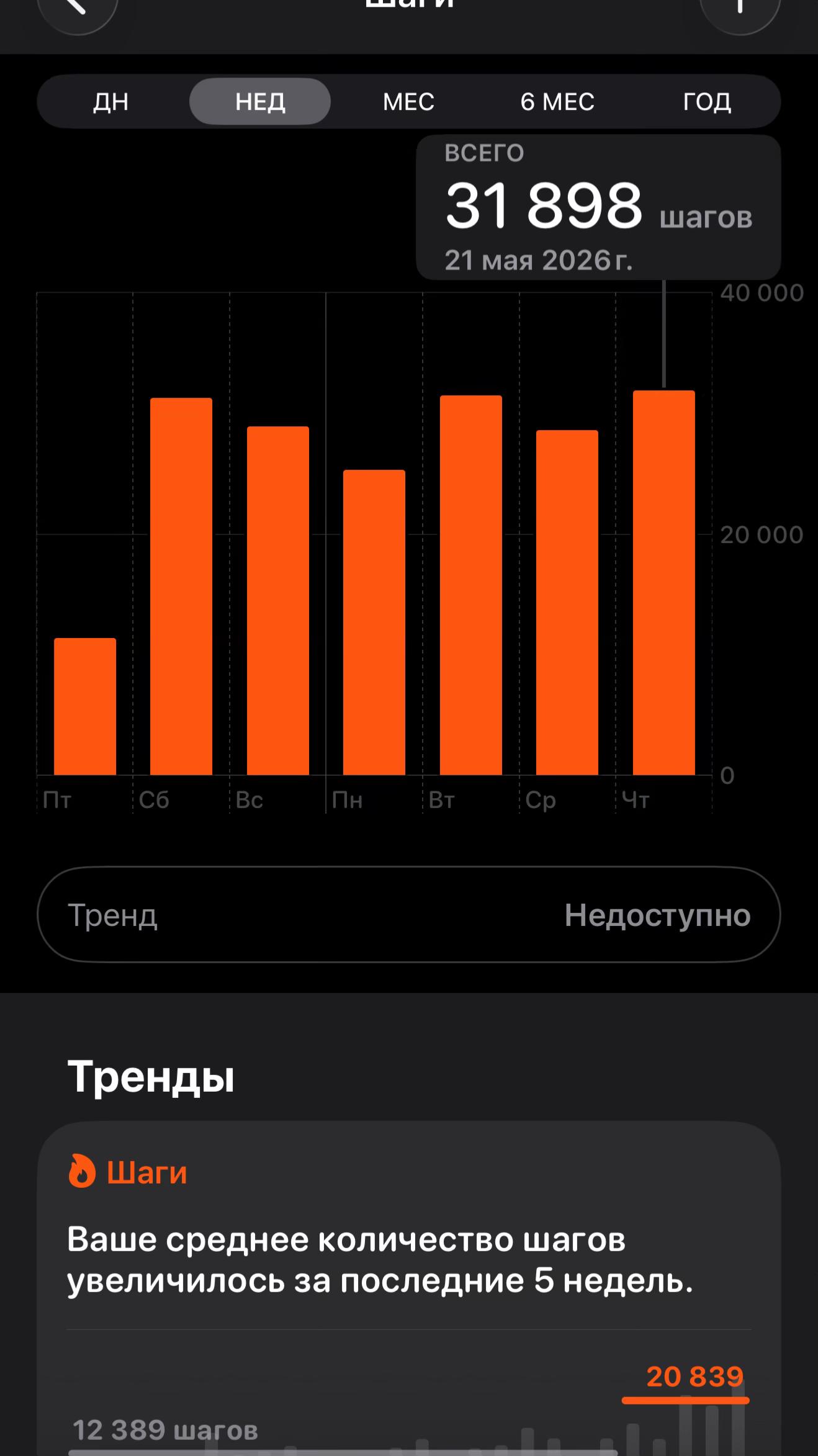 @Tg-Egorov