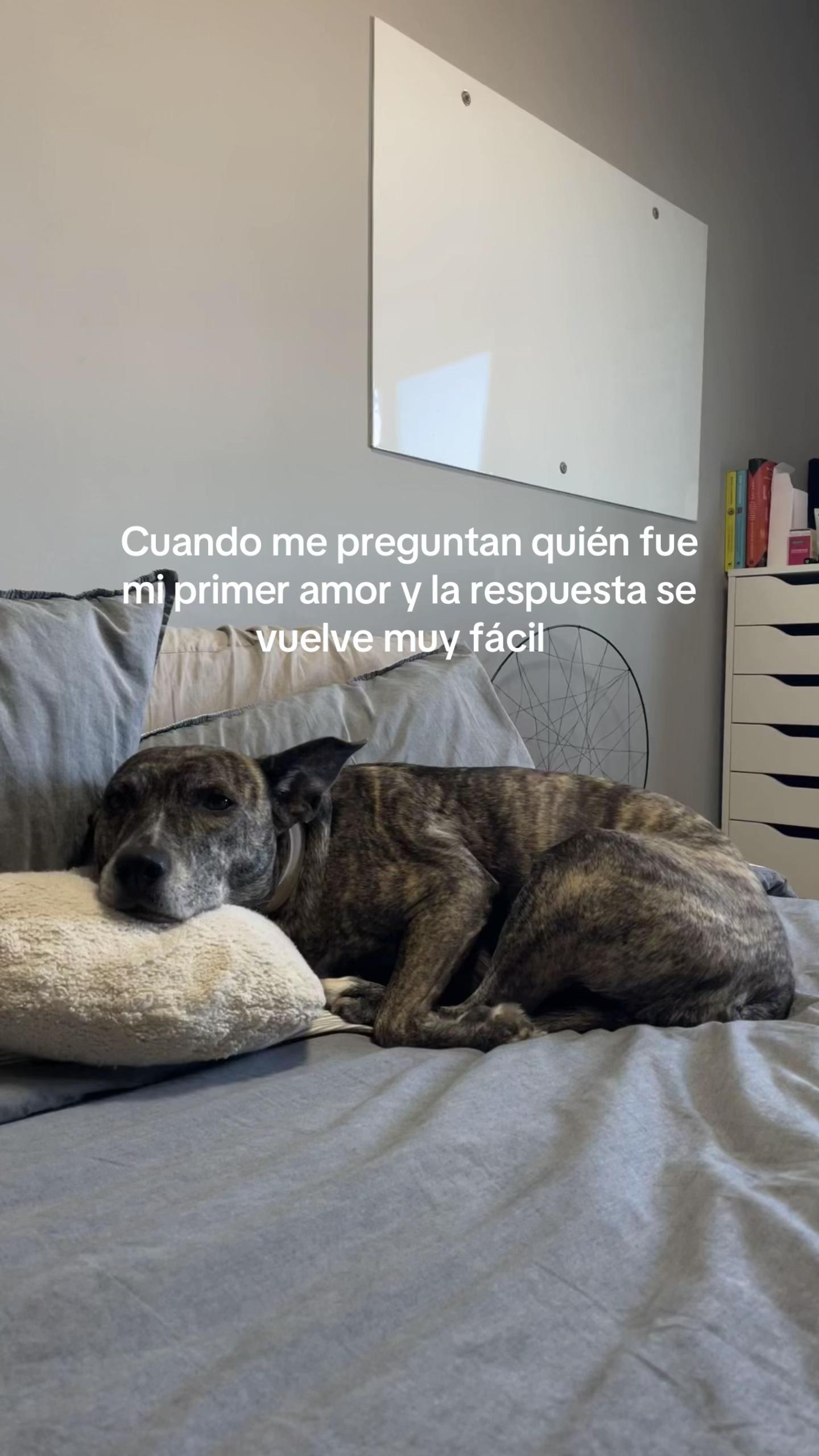 @Carla Díaz