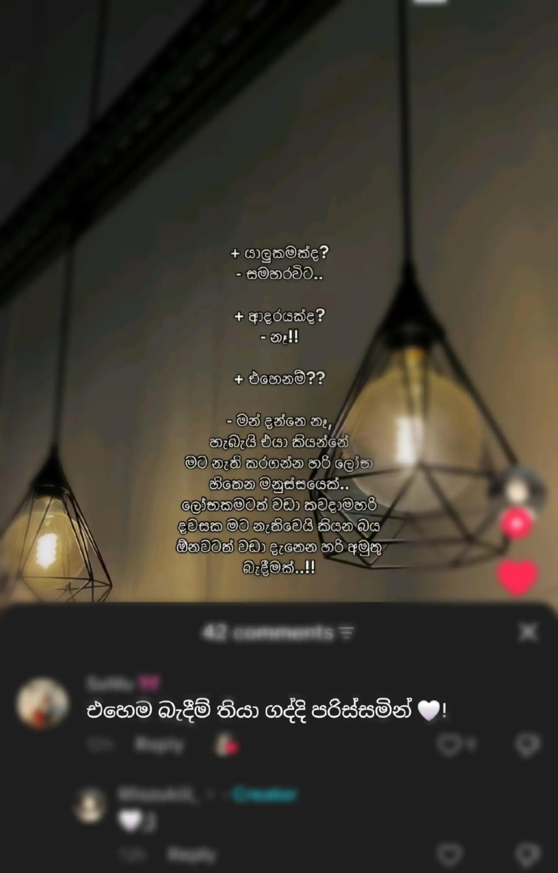 @&copy;SHEN.X