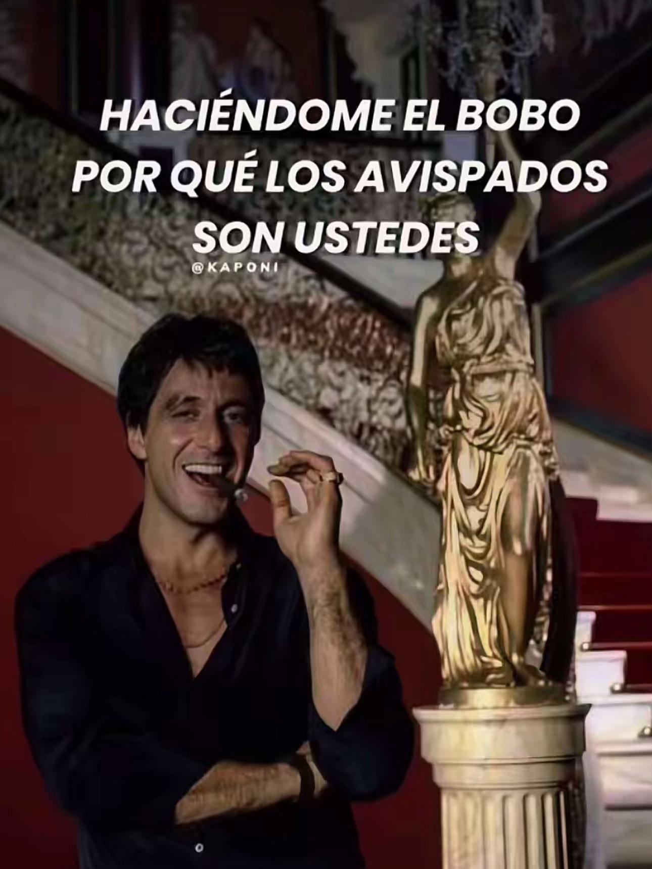 @user 🧔