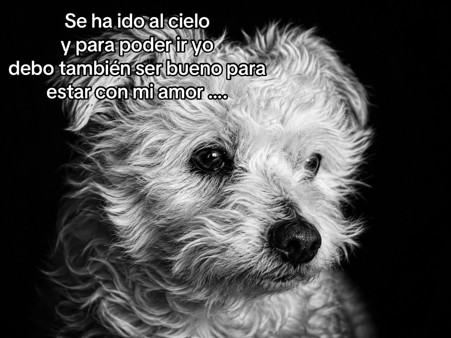 @Yammely Vargas