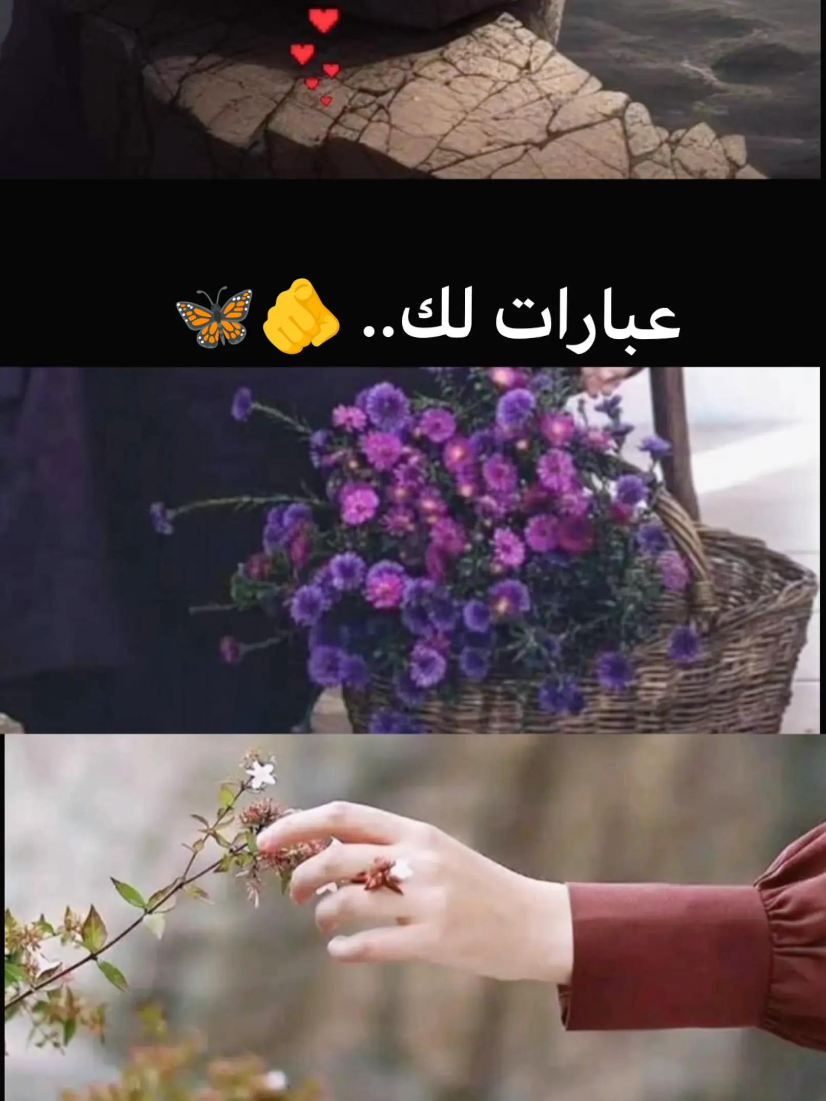 @فادية🦋